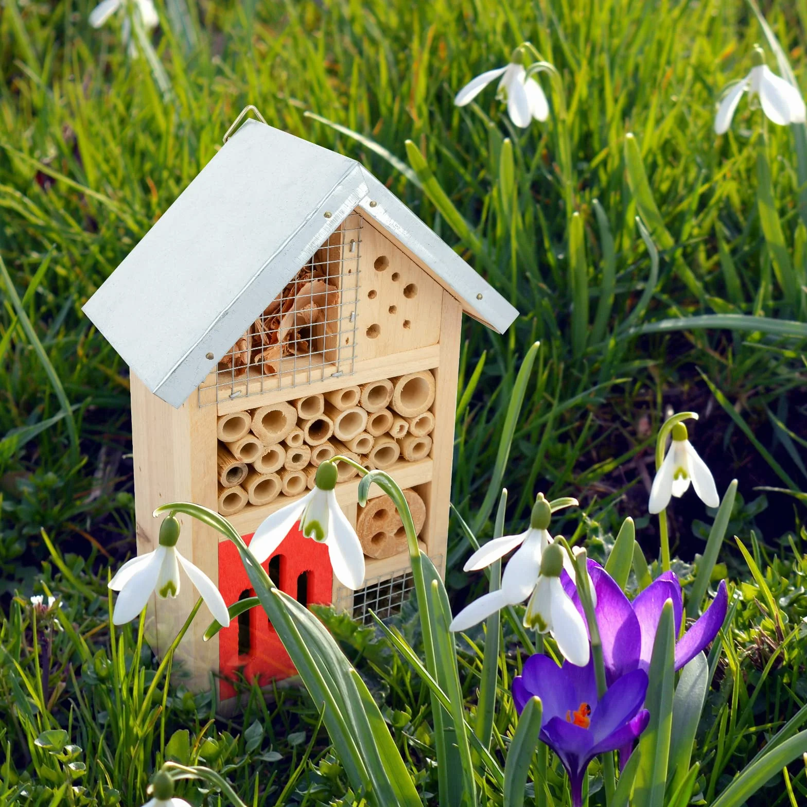 Niteangel® - Caseta de madera para insectos, el hogar perfecto para mariquitas y crisopas, así como abejas, tamaño 25,4 x 15,24 x 8,63 cm