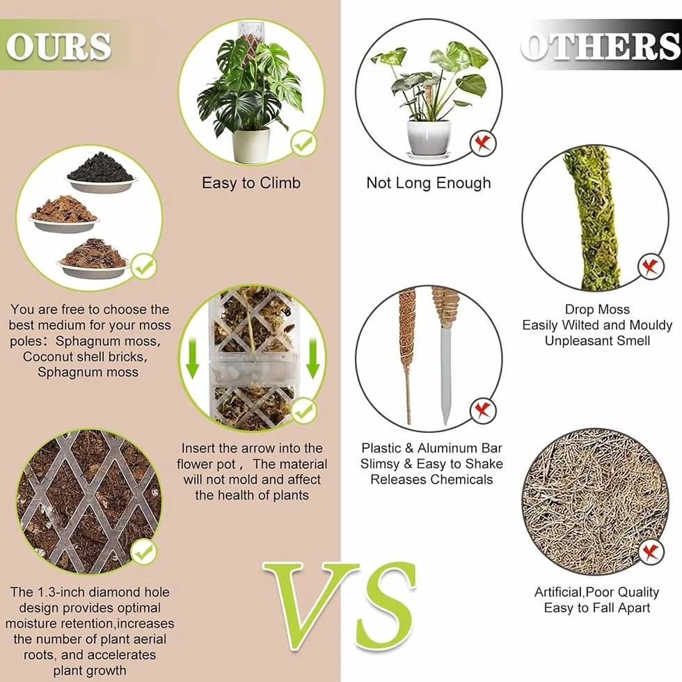 Moss Pole,6 Piezas Tutores para Plantas Trepadoras,Tutor Monstera,6 Tutor Musgo Plastique, 4 Alfileres, 4 Botellas de Goteo, 4 Diafragmas de Reproducción, 100 Bridas,para Hiedra, Monstera, Pothos