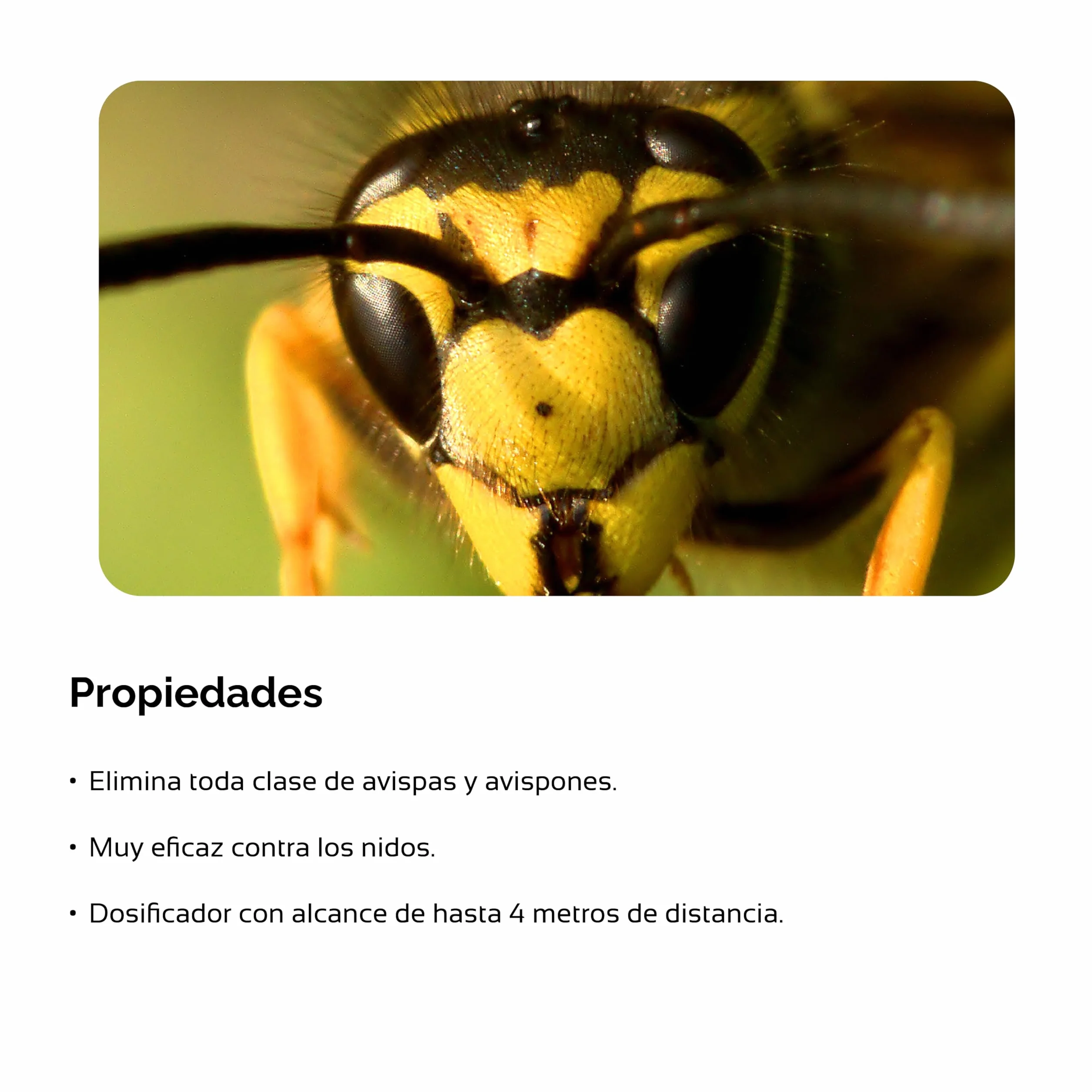 Insecticida contra avispas aerosol largo alcance | Zum-Kade Plus avispas | Formato 1 L