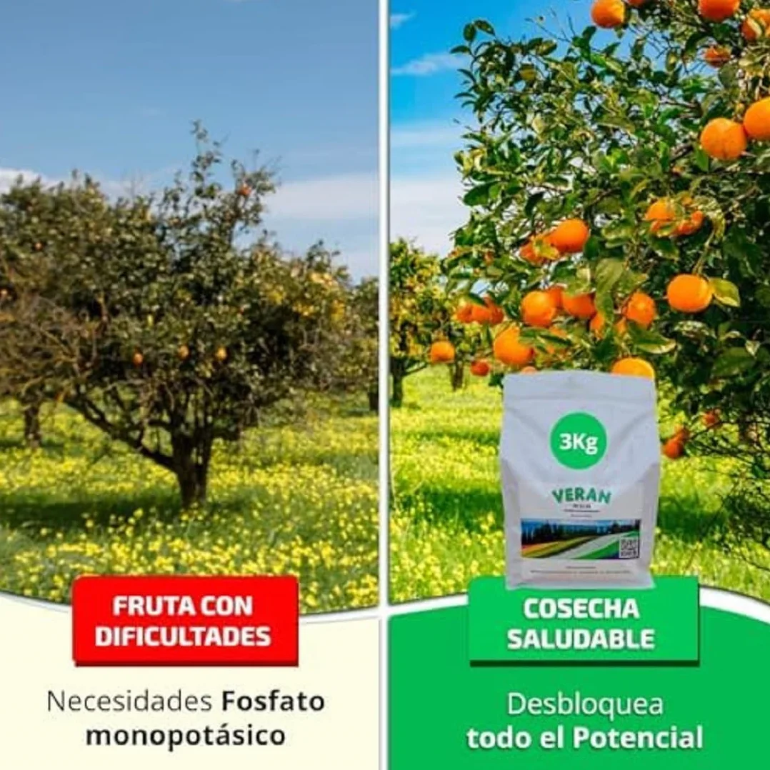 VERAN | Fertilizante de Fosforo y Potasio para Flores, Citricos y Huerto 3Kg | PK 52-34 | Estimula el Crecimiento y el Florecimiento Hidrosoluble | Fertilizante con Fosforo y Potasio