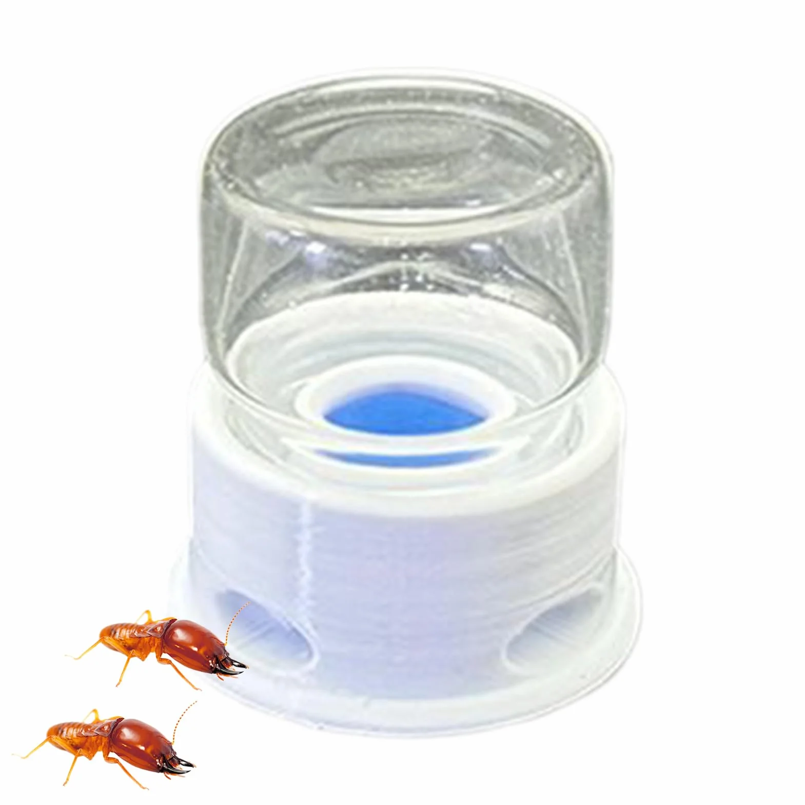 Líquido para Hormigas, Bebedero para Grillos, Bebedero Multifuncional Transparente para Abejas, Granja, Exterior y Aula