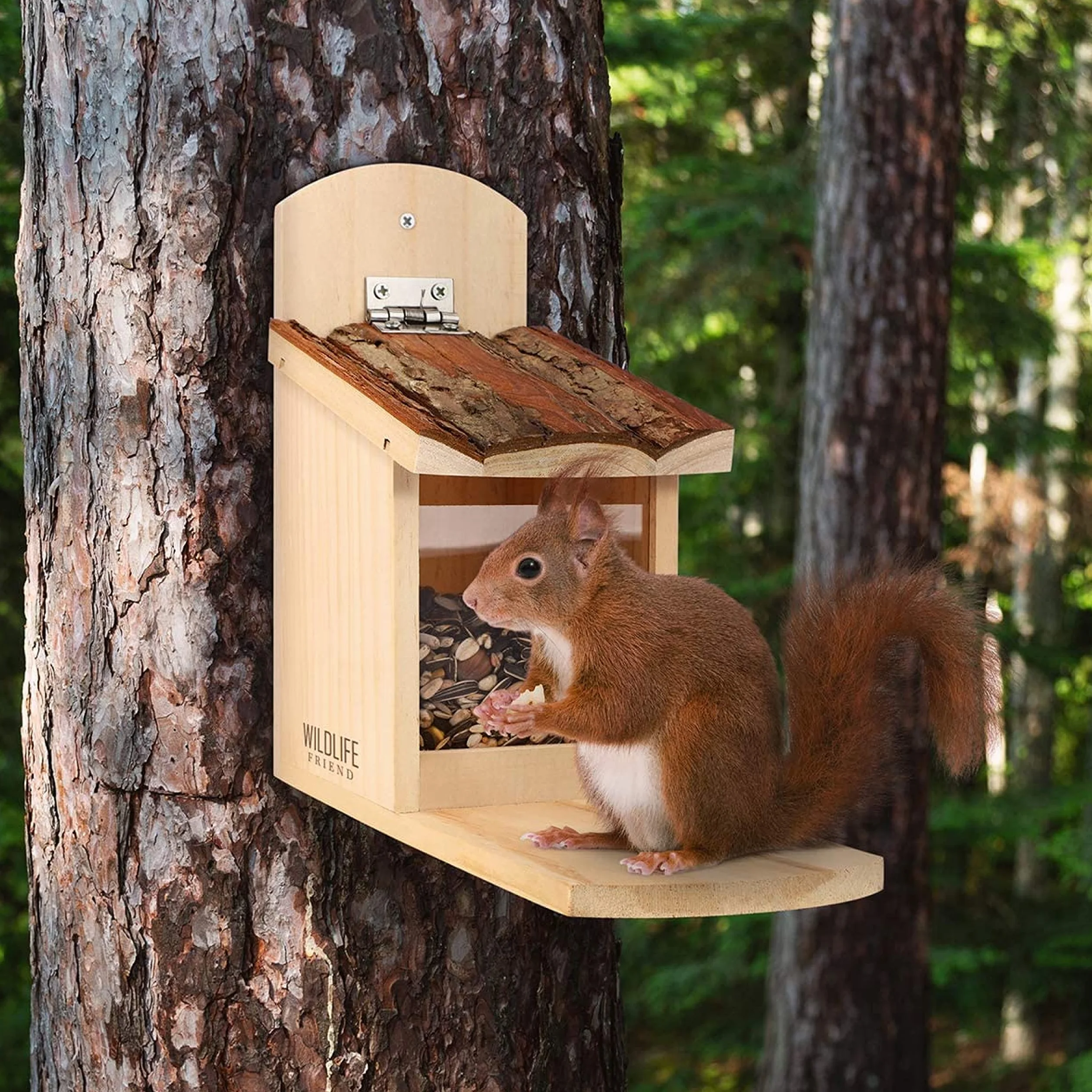 WILDLIFE FRIEND I Comedero para Ardillas - de Madera de Pino con Techo de Corteza - Estación de Alimentación, Alimentador de Ardilla