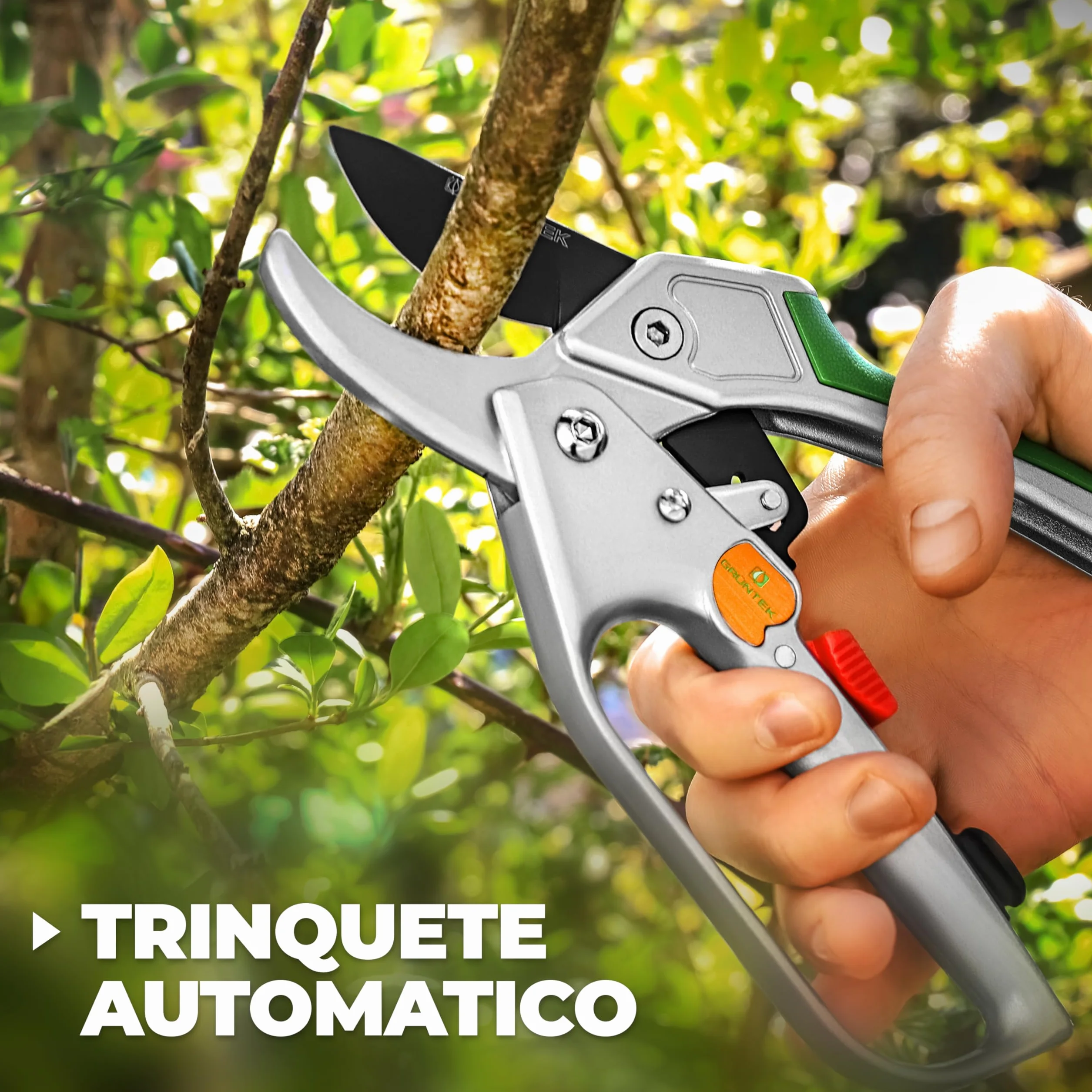 GRÜNTEK Tijeras de Podar Jardín Profesional Cóndor 20cm con Trinquete, Tijera de Yunque Recolectora, Cortarramas con Hoja de Acero Antiadherente y Mangos de Aluminio