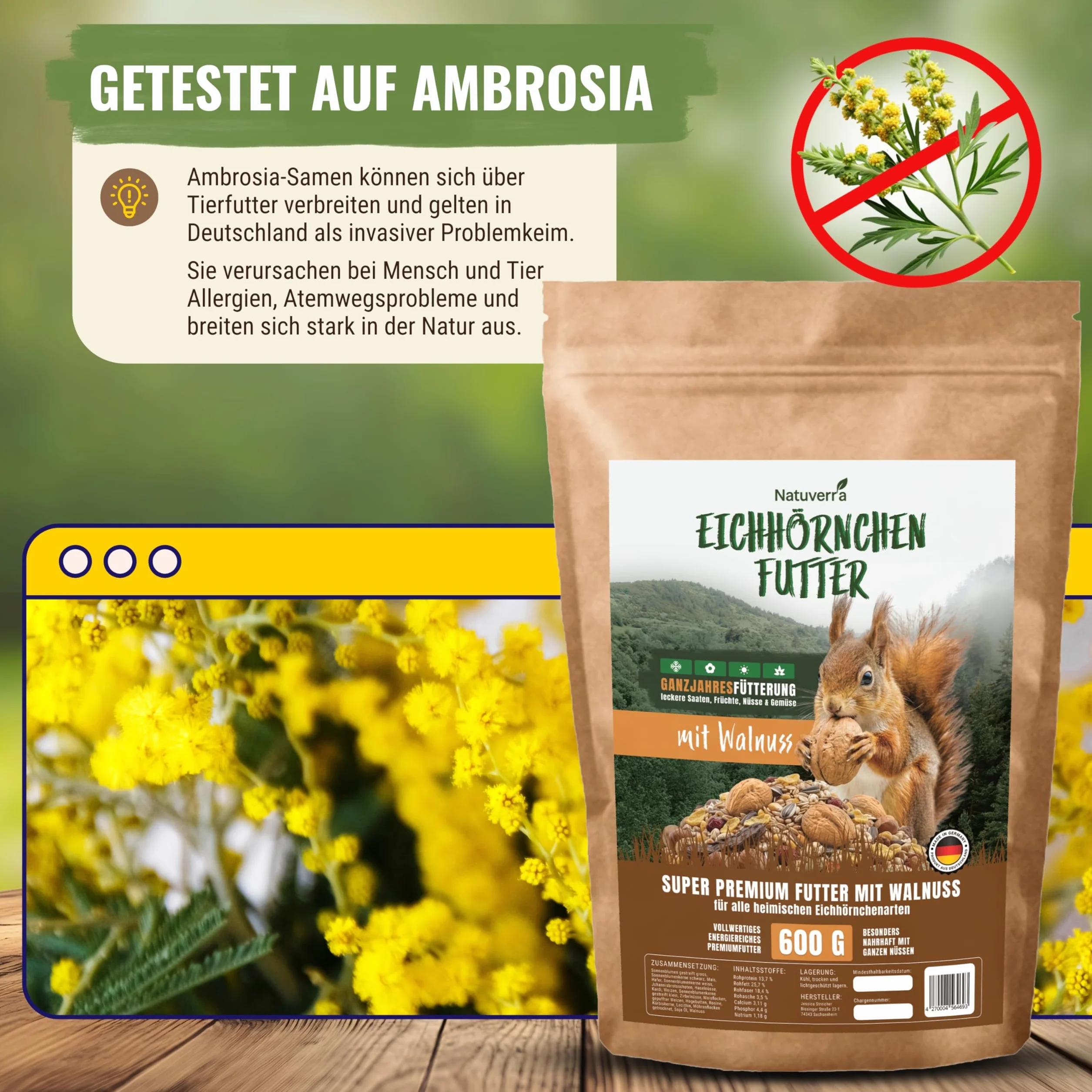 Comida para ardillas y ardillas, 600 g, para todo el año, con nueces en cáscara