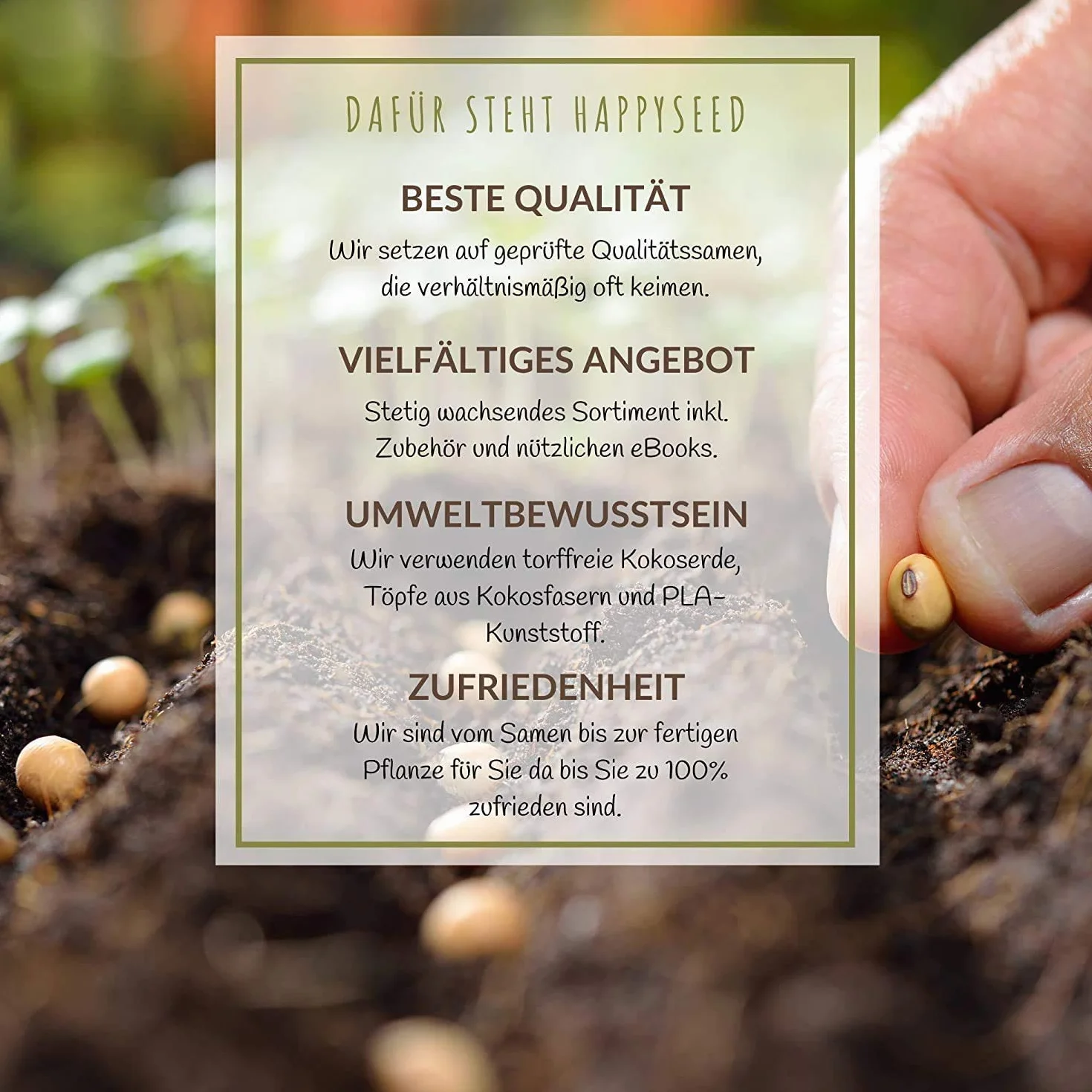 100 g de semillas de pradera floral para un colorido pastizal de abejas - Mezcla de semillas de flores silvestres coloridas y ricas en néctar para abejas y mariposas (incluye GRATIS eBook)