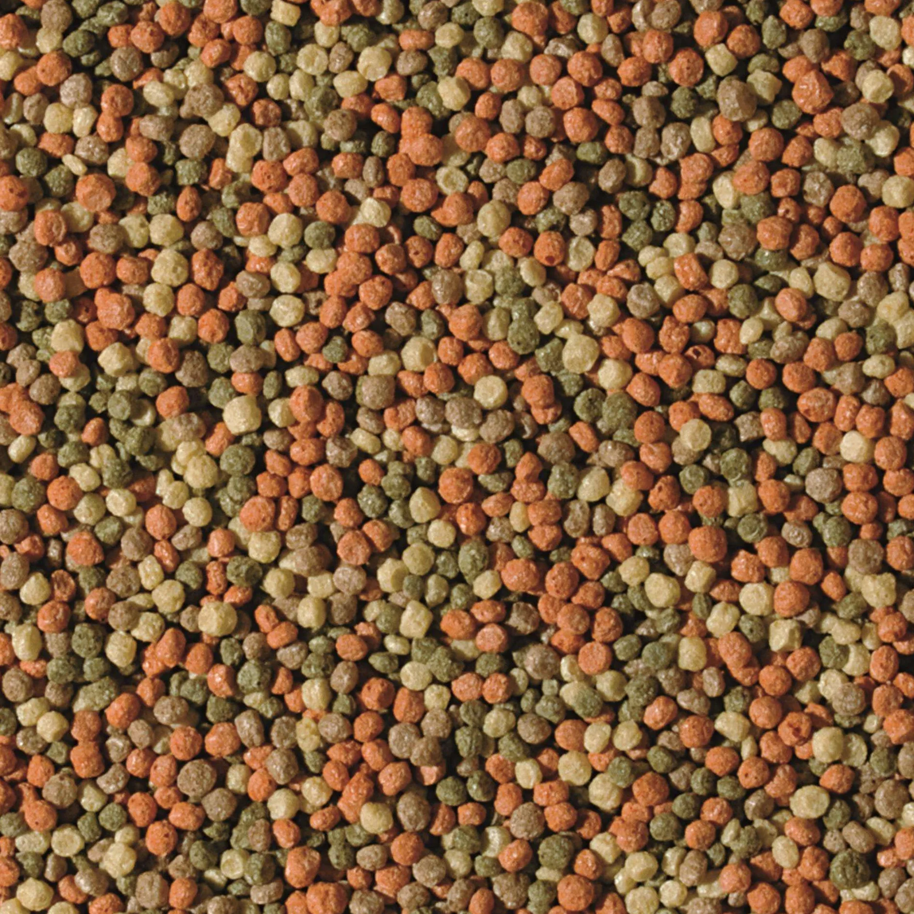 Pond Pellet Mix 3,3L / 462g - Alimento Flotante básico para Peces de Estanque, bajo Contenido en fósforo no favorece la proliferación de Algas