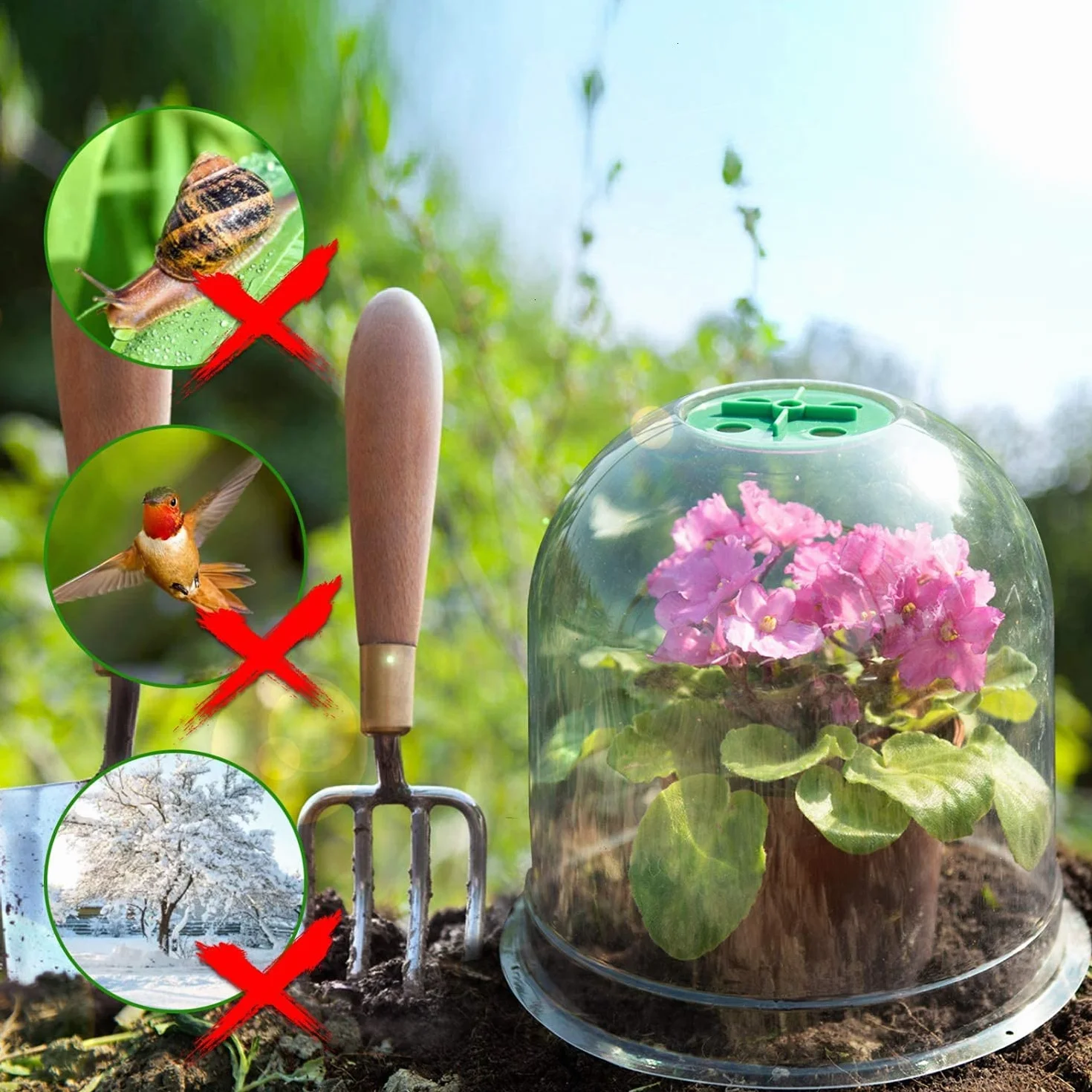 LATERN 6 Piezas Campana de Plantas de Jardín, 26cm x 20cm Cubierta de Campana de Cúpula de Planta Mini Invernadero de Plástico Reutilizable - con 10 Etiquetas para Plantas, 18 Clavijas de Seguridad