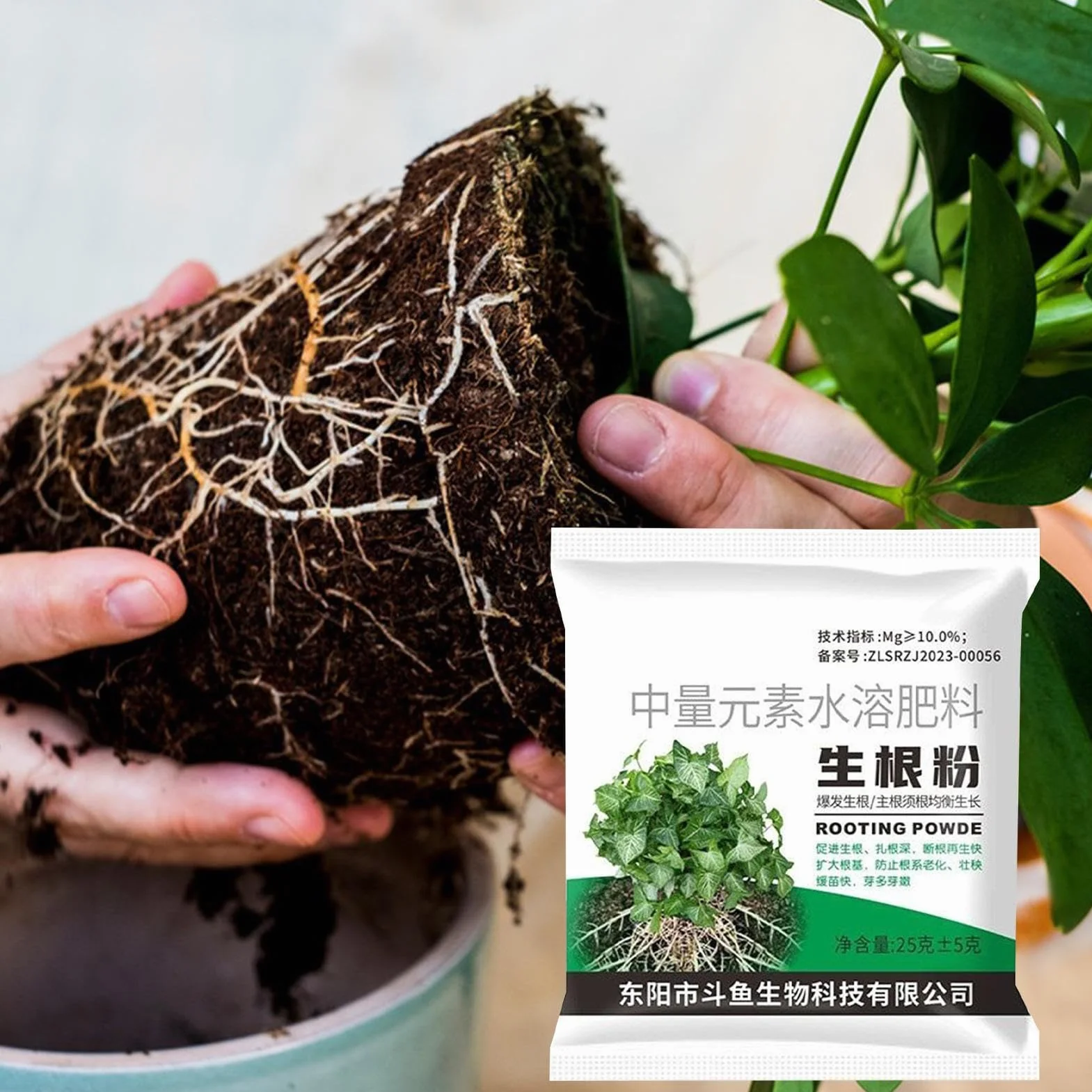 Polvo De Enraizamiento - Fertilizante para Esquejes,Polvo de Raíces para Plantas,para Agricultura Jardín Césped Patio Verduras Frutas Suelo Plantas de Interior