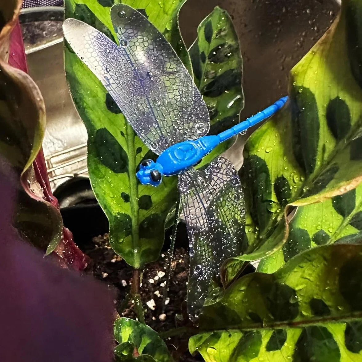 12 estacas de decoración de jardín de libélula – Púas florales de mosca de dragón falsa para decoración de tartas, libélulas – Mosca de dragón 3D para interiores y exteriores, regalo