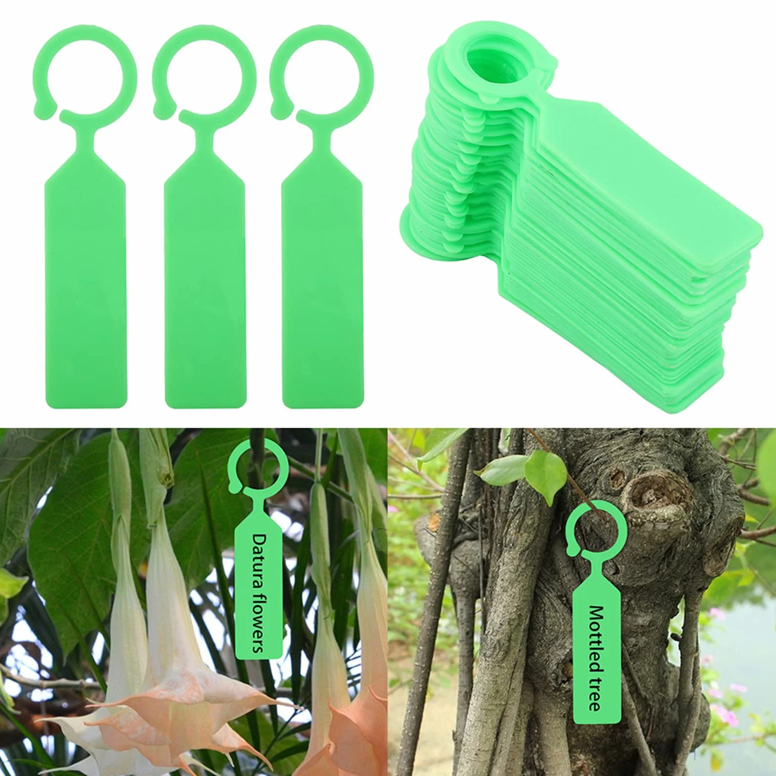 Etiquetas de Plástico para Plantas, 100 Unidades, Verde, Impermeables, Colgantes, 11 x 2.4 cm, para Jardín e Invernadero
