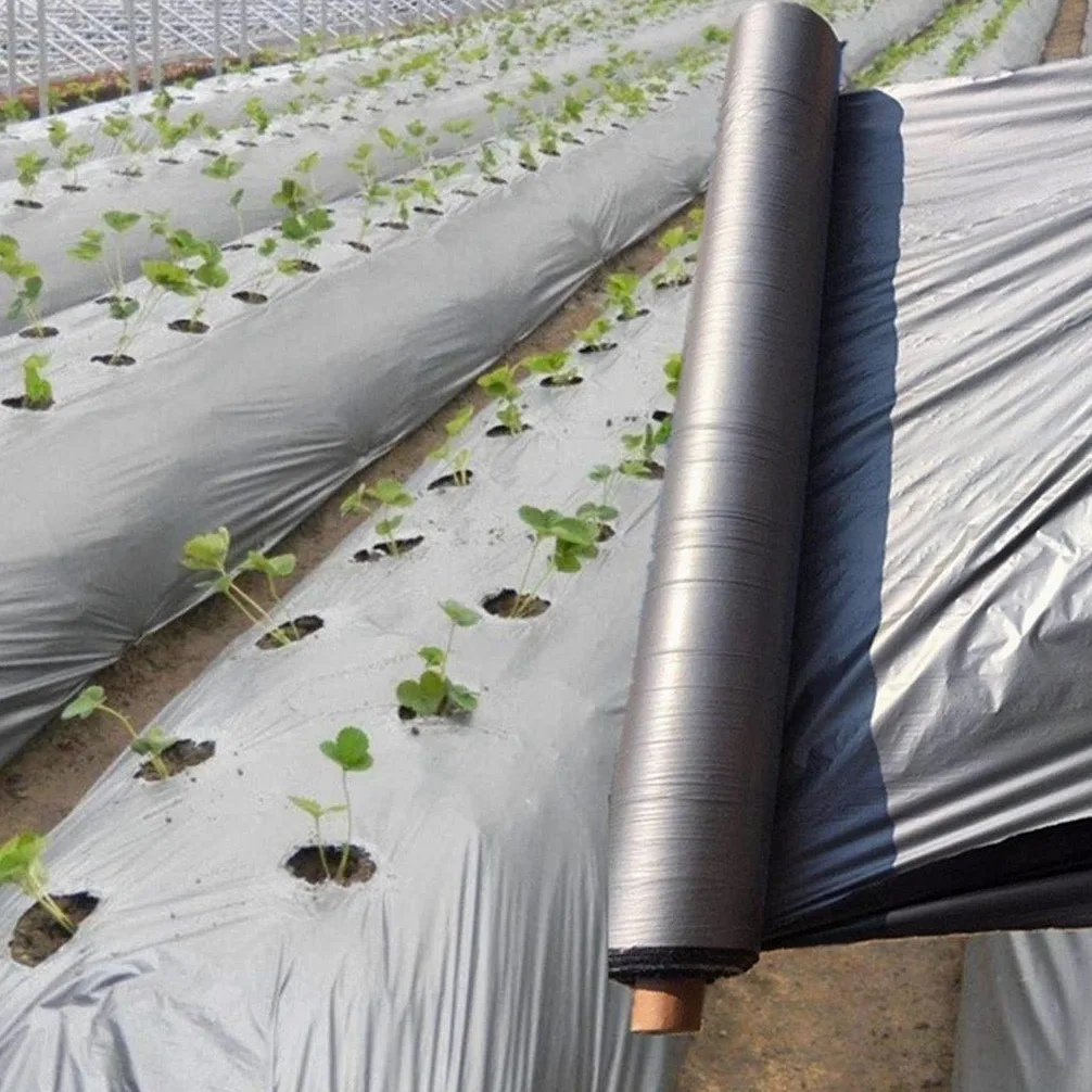 Película de plástico negro plateado para huerto, árboles frutales, invernaderos, invernaderos, control de malezas, 50 m, color negro