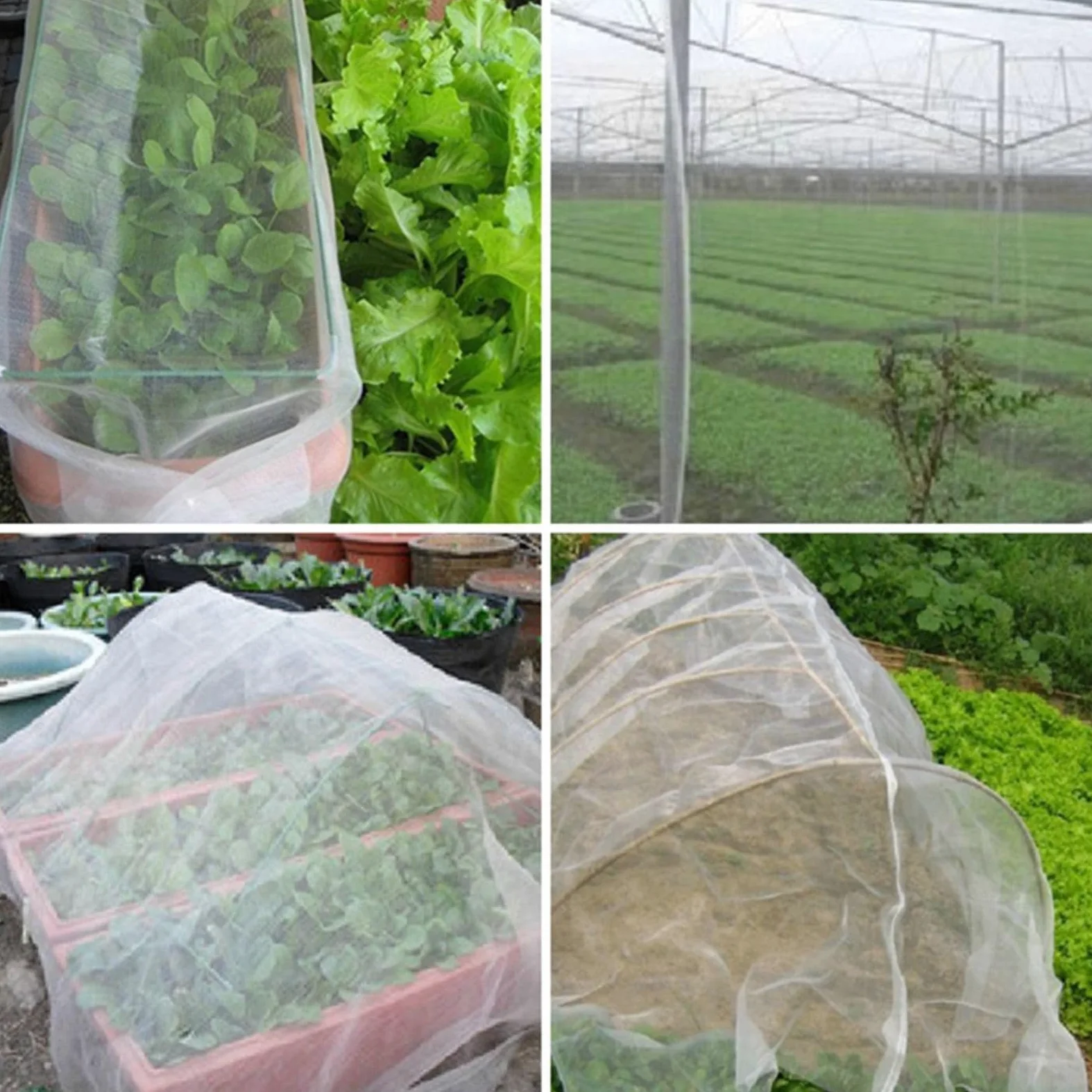 Red de jardín antigranizo resistente a los rayos UV, 4 x 10 m, color blanco, protección de malla ligera para plantas, barrera resistente a los rayos UV, resistente a la intemperie