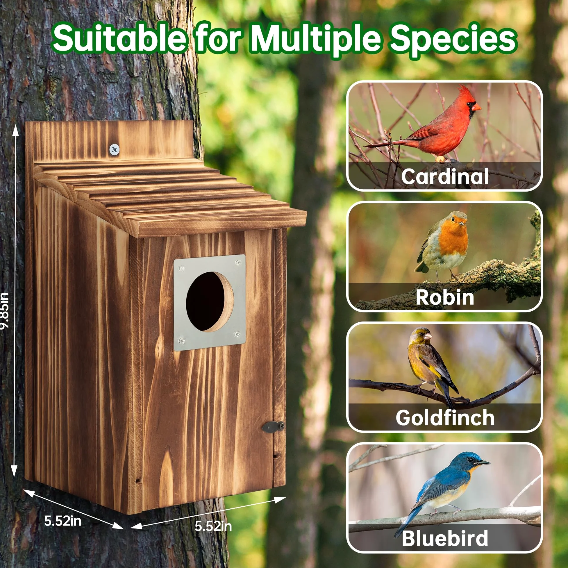 Paquete de 2 casas para pájaros para exteriores con protector de depredador de metal para pinzón de golondrina de pájaro azul, cajas de anidación de madera carbonizada para exteriores, casa de pájaros