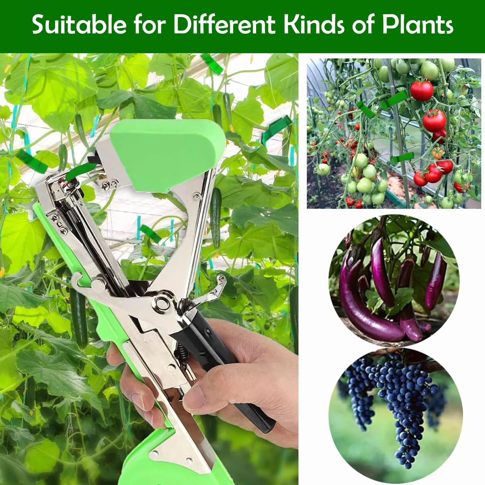 Cinta para encuadernación de plantas, herramienta con 20 rollos de cinta adhesiva, 1 caja de grapas, cintas para atar plantas, embalaje de jardín, poda de verduras y máquina de encadenamiento