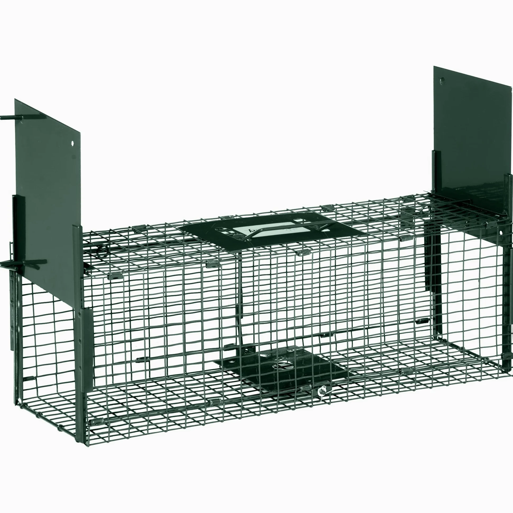 Outsunny Trampa para Animales Vivos 60x18x20 cm Jaula Trampa para Gatos con 2 Puertas Asa y Marco de Acero para Ratones Roedores Verde