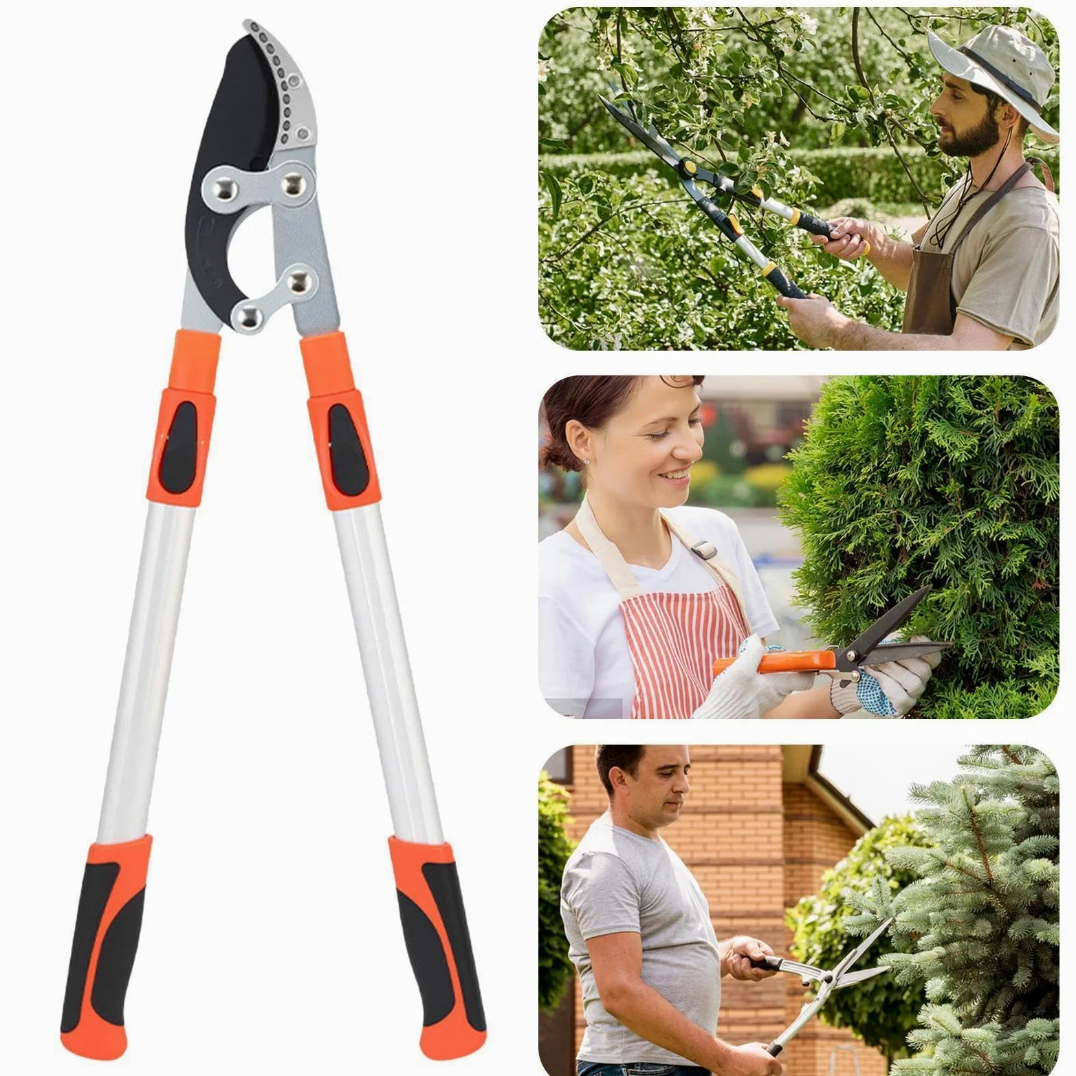 Tijeras de podar telescópicas con extensibles, resistentes tijeras de podar, cortadoras de plantas, para arbustos, flores, plantas, bonsáis, zarcillos, exteriores, patio, , paisaje