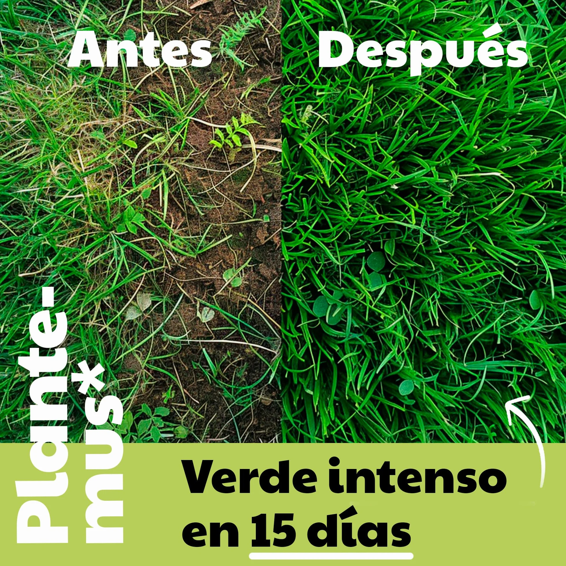 PLANTEMUS Abono Césped Efecto Verde Turbo para 175 m² Microcristales Ultrasolubles | Verde Intenso 7-9 Días | Fertilizante Nitrogenado - Tecnología Alemana 5.5 KG