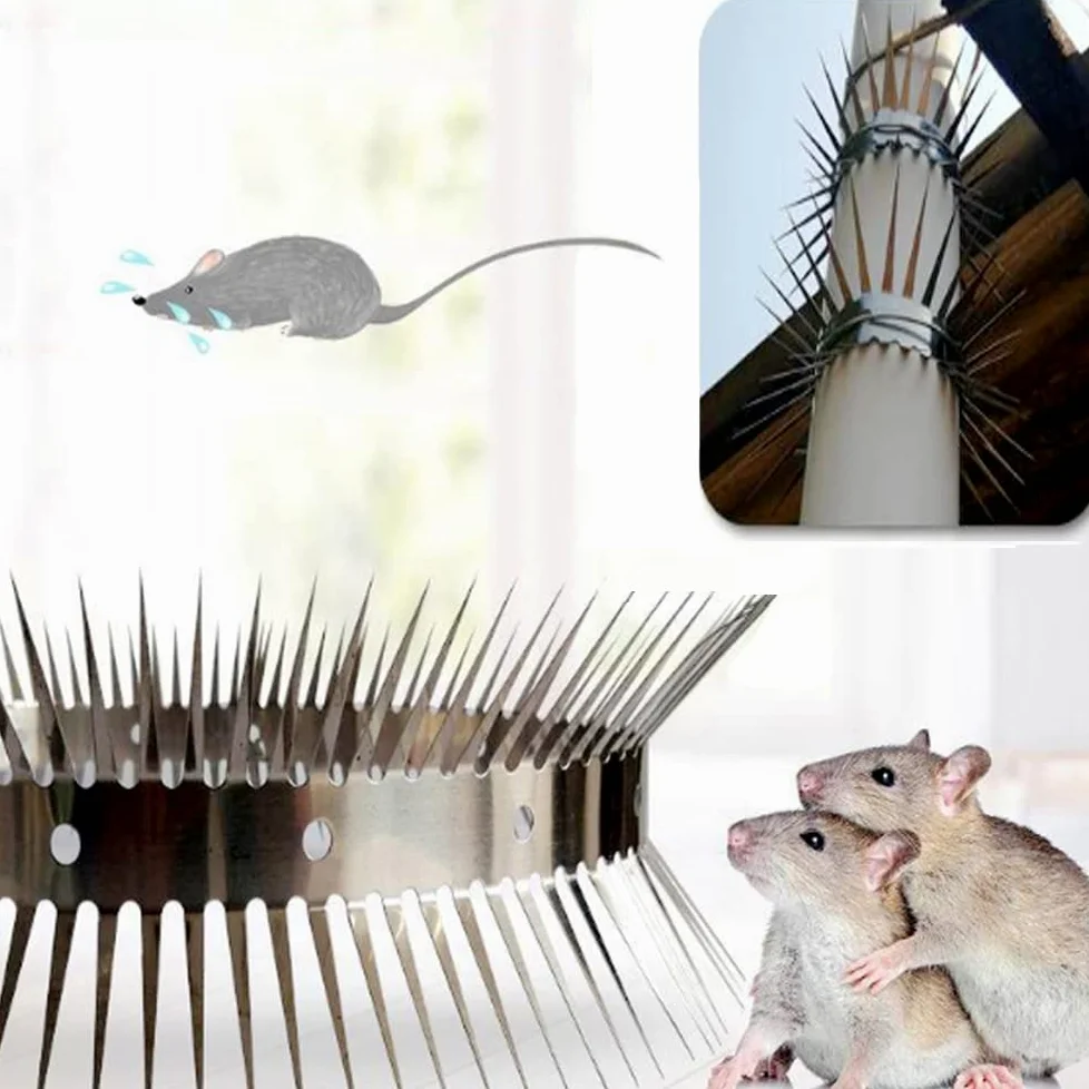 Repelente de animales, dispositivo de espigas de hoja afilada de acero inoxidable, tiras disuasorias para tuberías de acceso y escalada (49.2 pies)