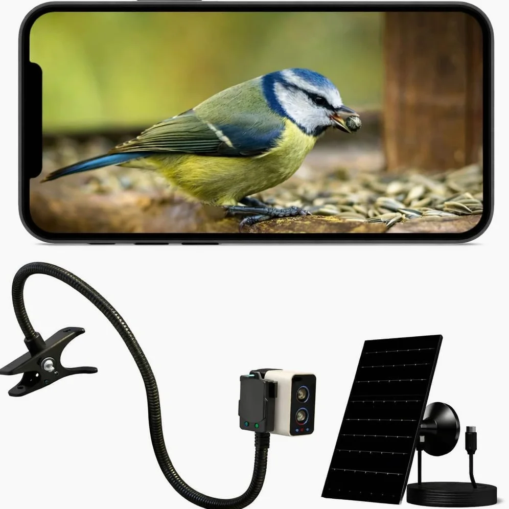 Bird Box Cámara WiFi 4MP - Cámara solar para casa de pájaros para monitoreo de entrada de caja nido, visión en vivo en la aplicación del teléfono, visión nocturna, alertas de movimiento, cámara de