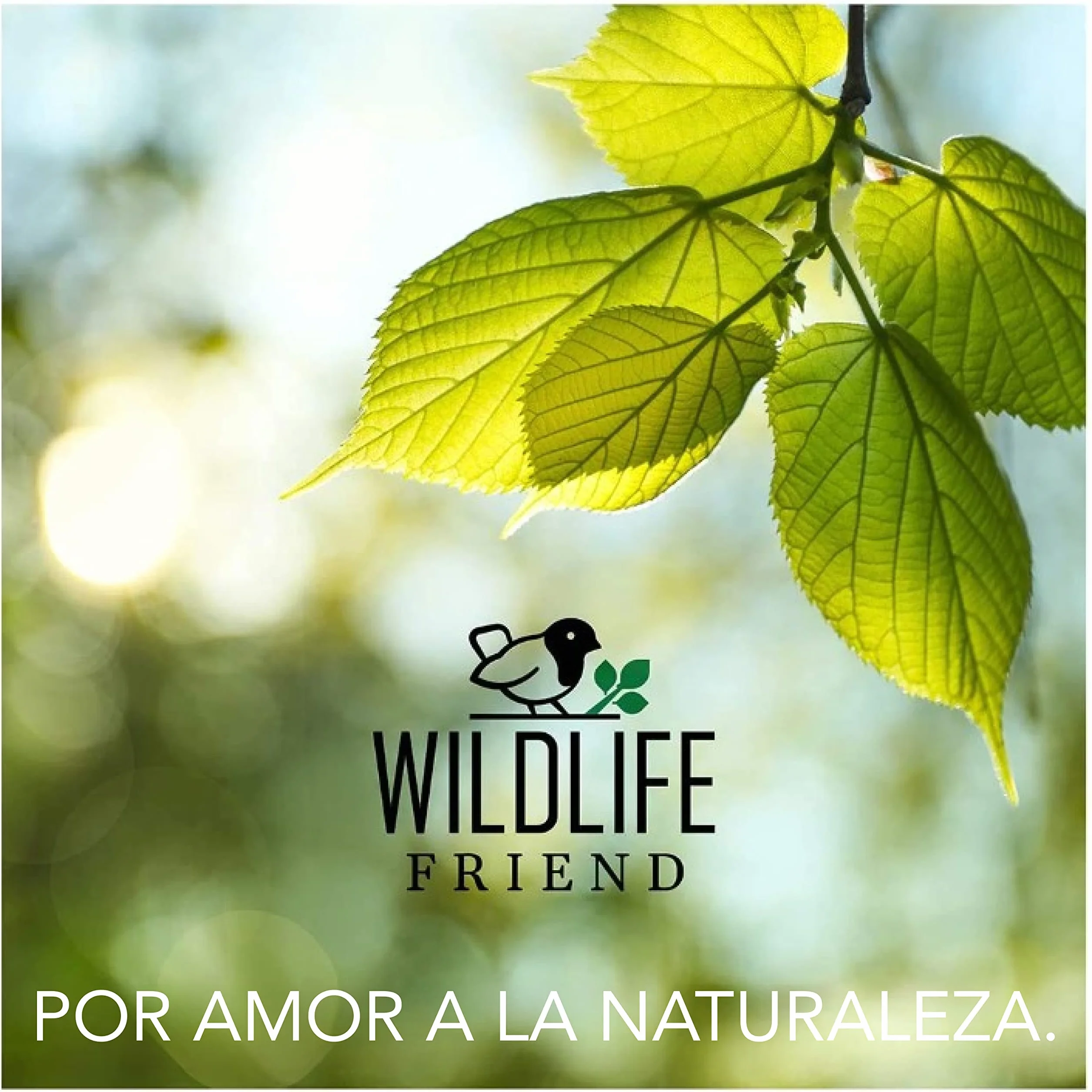 WILDLIFE FRIEND Hotel para Insectos con Techo de Metal XL. Casa para Insectos en Madera Natural para Abejas, Mariquitas, crisópidos, Mariposas. Mariposario