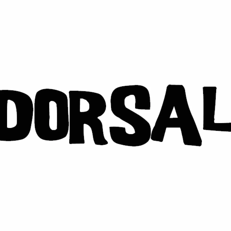 Dorsal Universal Soft Roof Racks with Tie Down Straps for Surfboards Kayak Canoe 20" Black