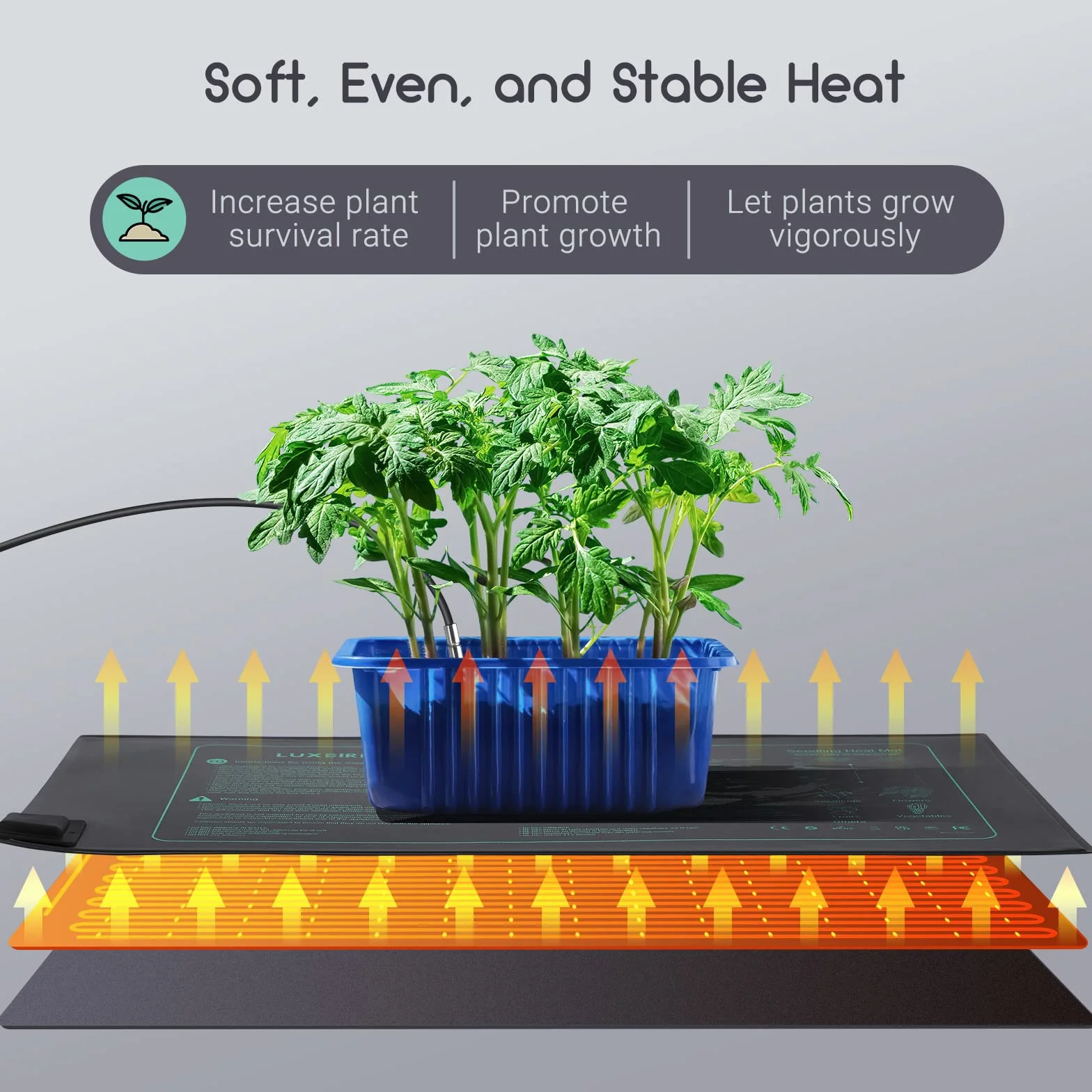 Luxbird Alfombrilla térmica para plántulas y Controlador de termostato, 21W Mantas calefactoras, Esterilla Calefactora para Siembra y Germinación en Interiores 2 Pieza Esterilla calefactora
