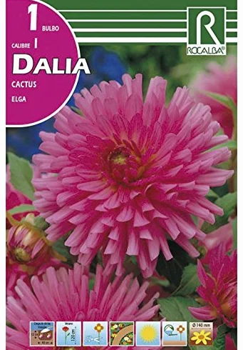 BULBO DALIA ELGA - 1 UD.…
