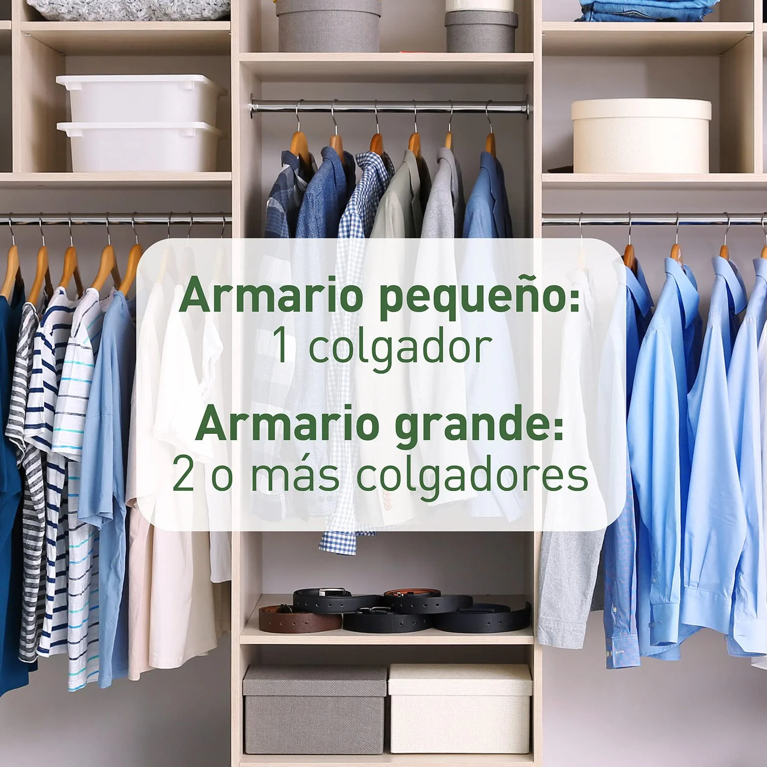 ORION Protección Total - Pinzas Antipolillas para Armarios, Aroma Bambú y Cítricos, 2 Unidades