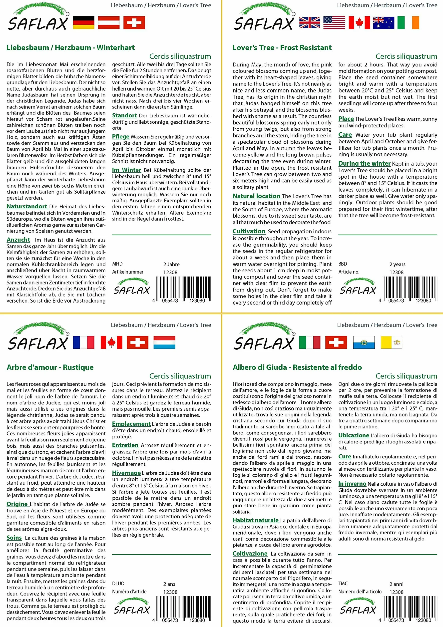 SAFLAX - Árbol del amor - 60 semillas - Cercis siliquastrum