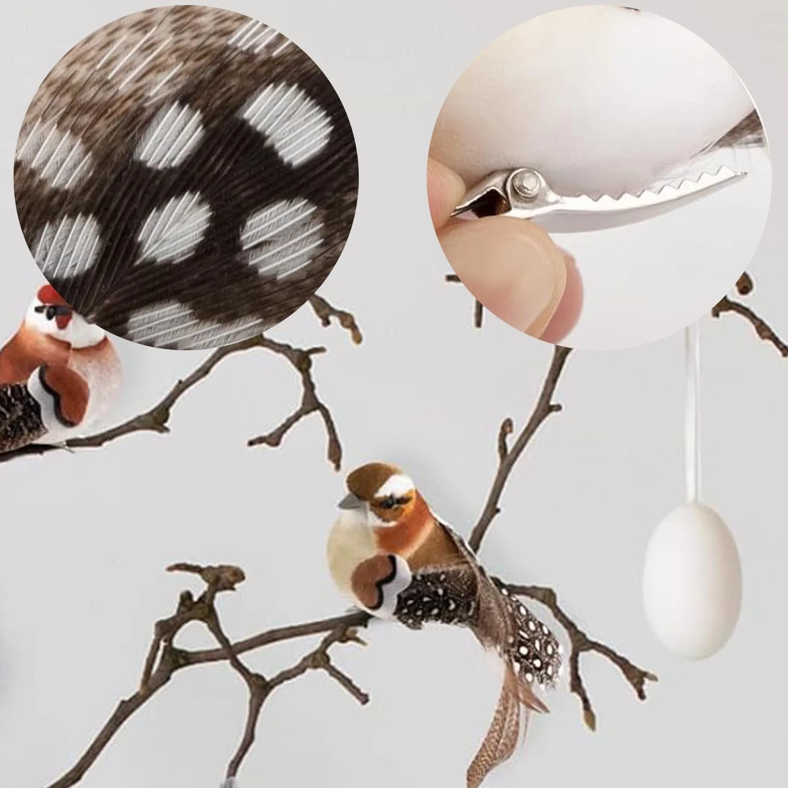 5 Piezas Pajaros Decorativos Pájaros de Imitación con Plumas Pájaro Decorativo Colorido Pájaro Decorativo con Pinza para Manualidades DIY Decoración Jardín de Casa Adorno de Fiesta de Boda