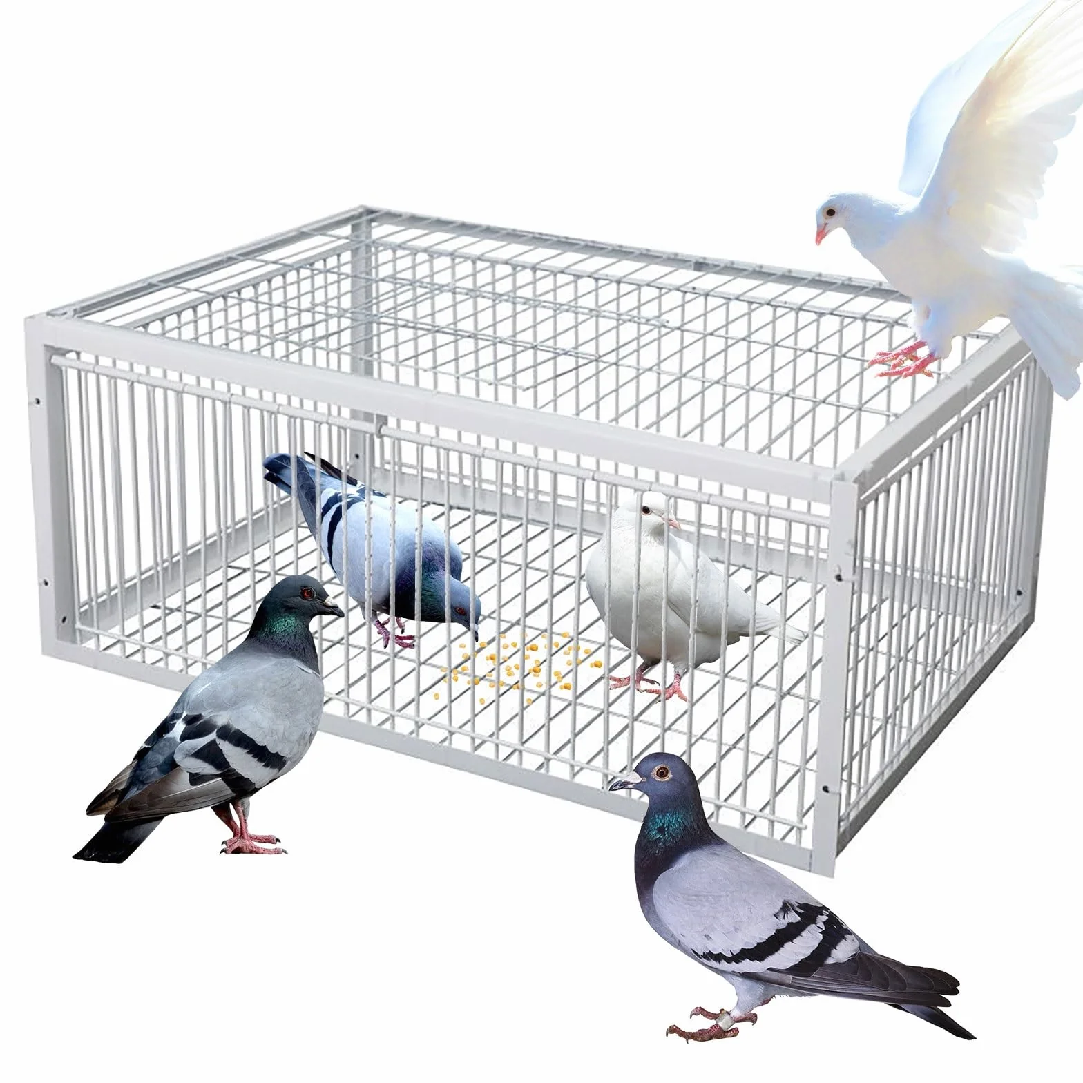 Trampa Para Pájaros Con Entrada Unidireccional Jaula Trampa Para Palomas Fácil De Montar Con Diseño A Prueba De Fugas Portátil 4 Importada Recolección Automática De Palomas Adecuada(90x40x26CM)