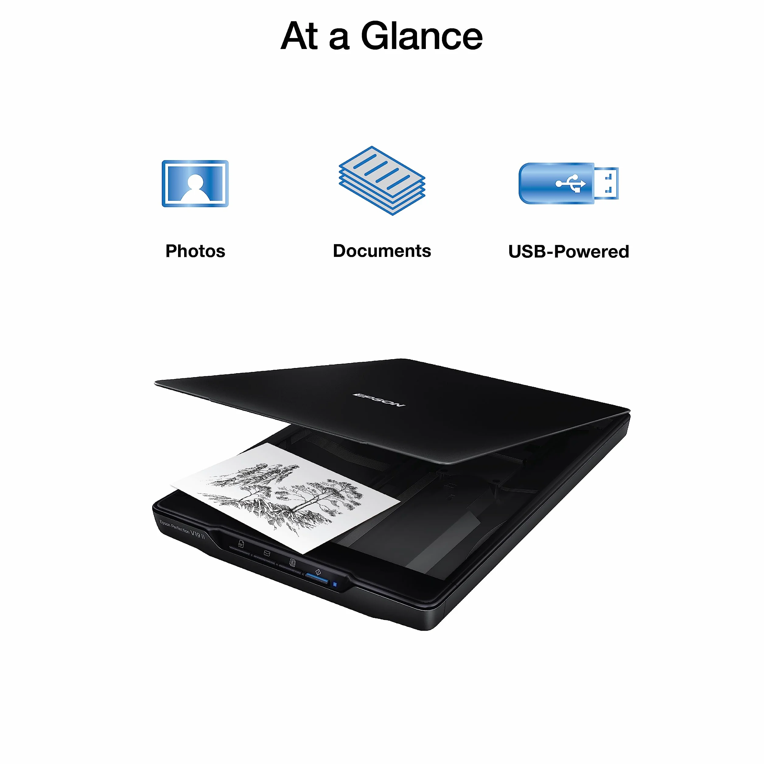 Epson Perfection V19 II Escáner Plano 4800 PPP USB