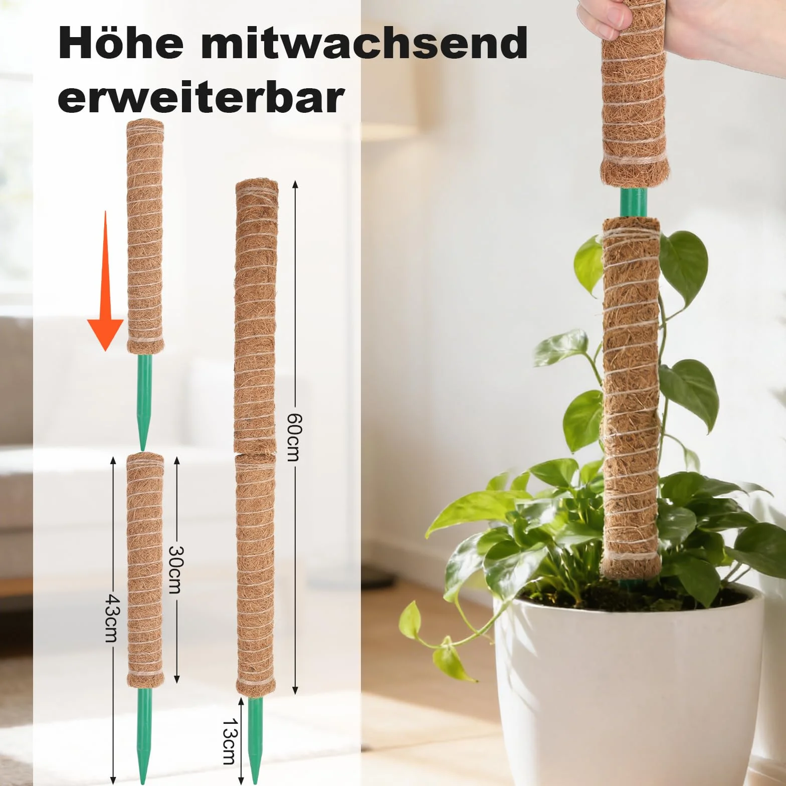 HOVIN Soporte trepador para Monstera de coco – 4 tutores extensibles de musgo, 40 cm – Para plantas trepadoras en interiores y jardines