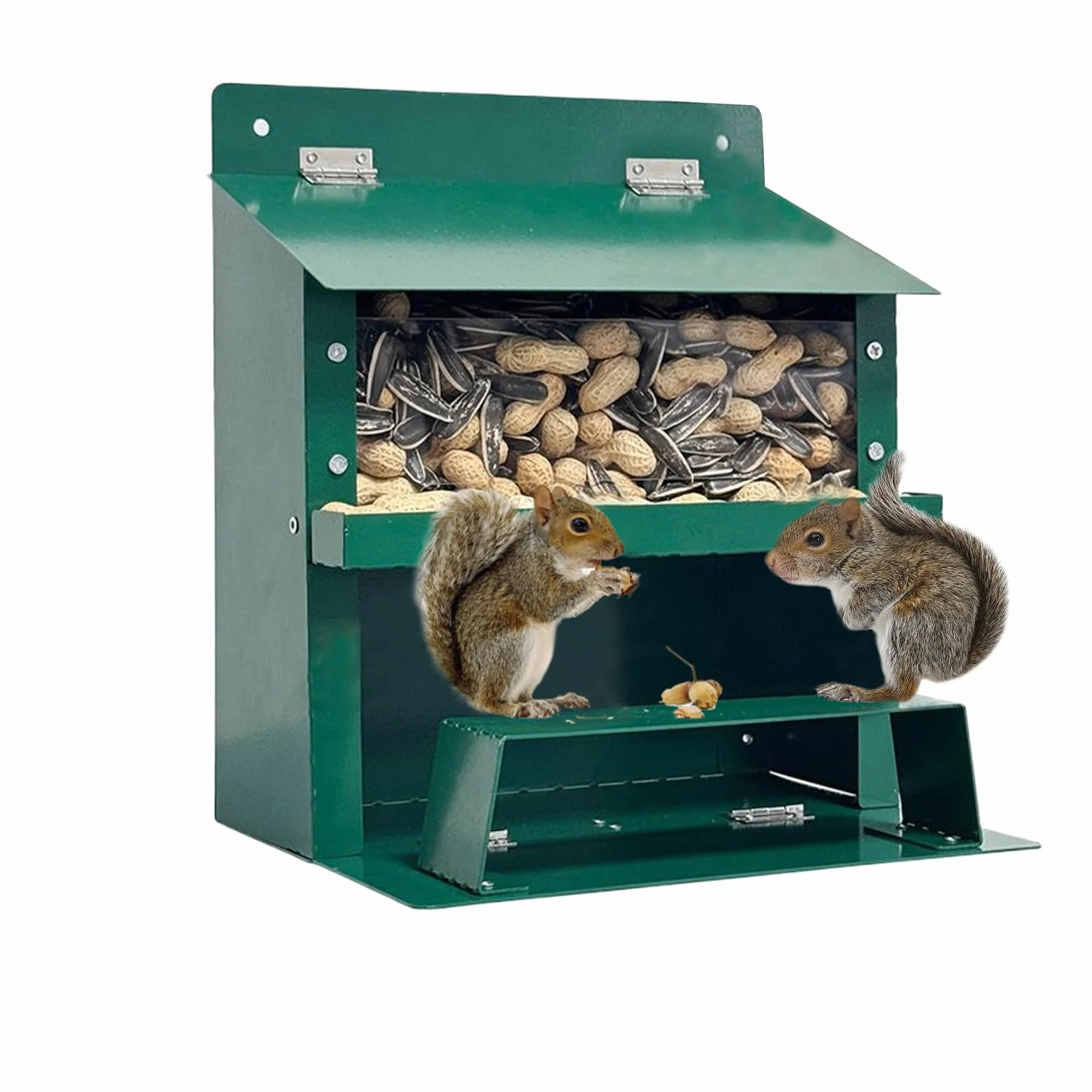 Casita para Ardillas | Casa para Ardillas A Prueba de Invierno,Suministro De Comida Invierno Observación Naturaleza Alimentación Fauna Decoración Jardín Aves Parques Amantes Animales