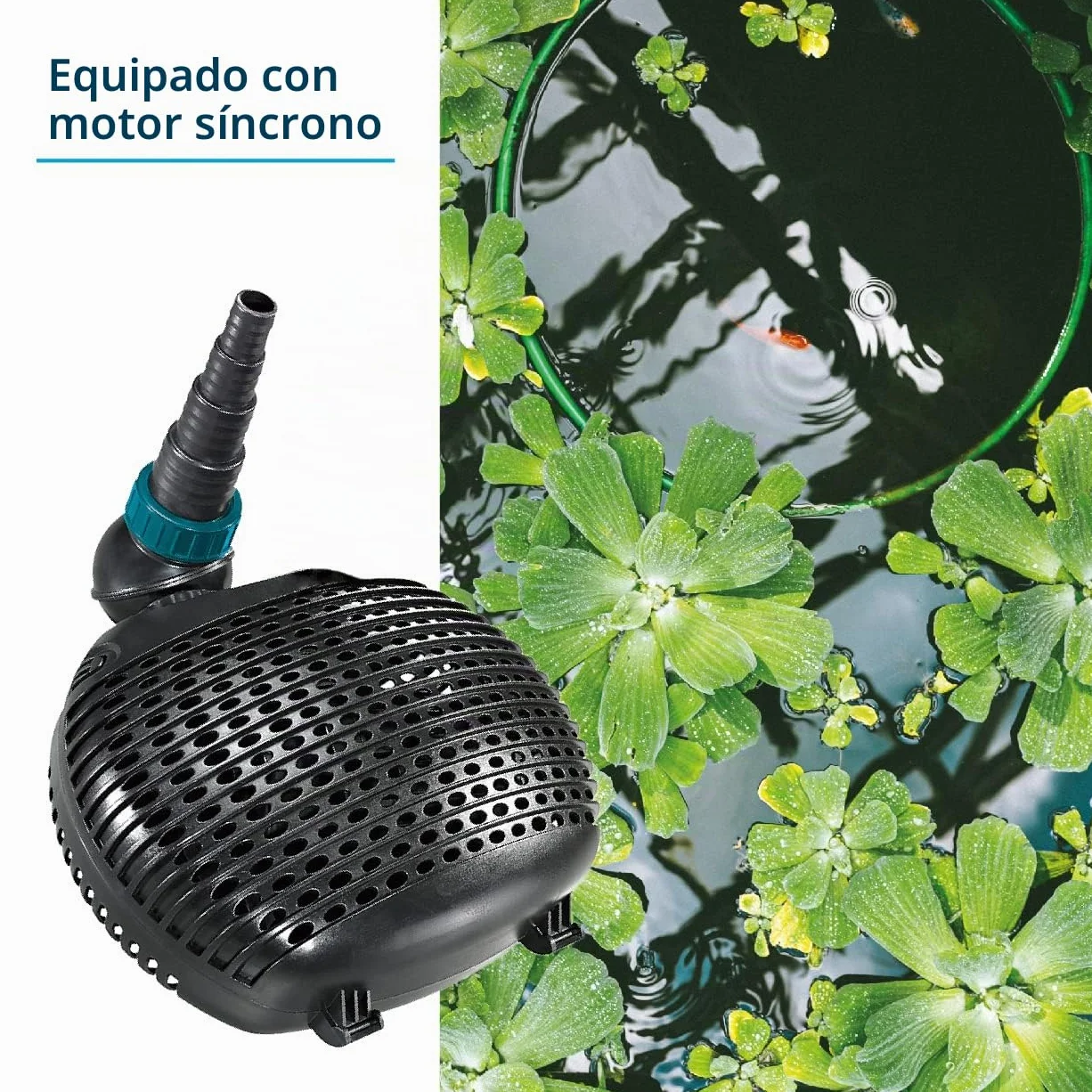 Bomba de filtro/estanque AquaForte EC-10000 10 m³/h, altura de impulsión 5m, 68Watt, Negro | adecuado para agua dulce y salada | adecuado para arroyos, cascadas, fuentes, filtros, etc.