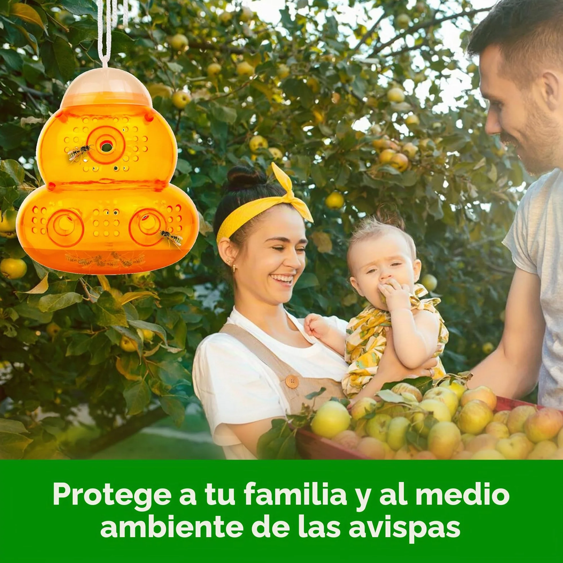 ASPECTEK Trampa para Avispas Trampa para Avispón, Abeja y Avispa Abejorro. 2 Unidades (Trampa de Abeja)