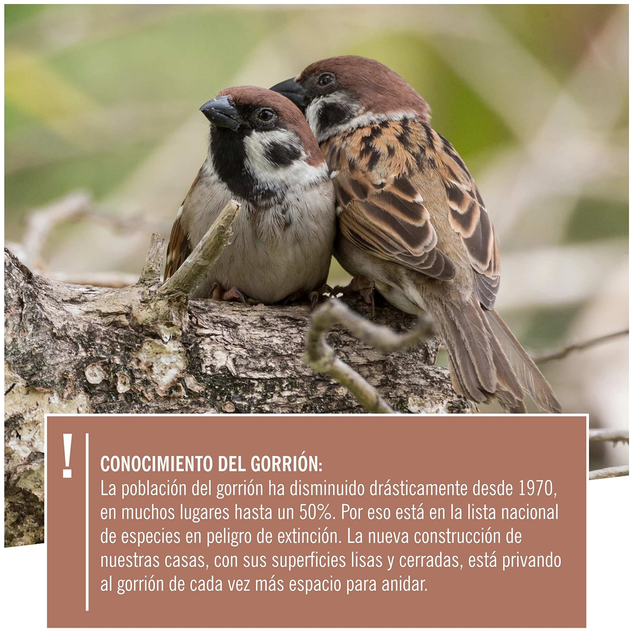Wildtier Herz Nido de Madera para pájaros, Caja de Madera de 42cm x 32,5cm x 17cm, Atornillada, Sin Tratar, Resistente a la Intemperie, Provee un Espacio para anidar
