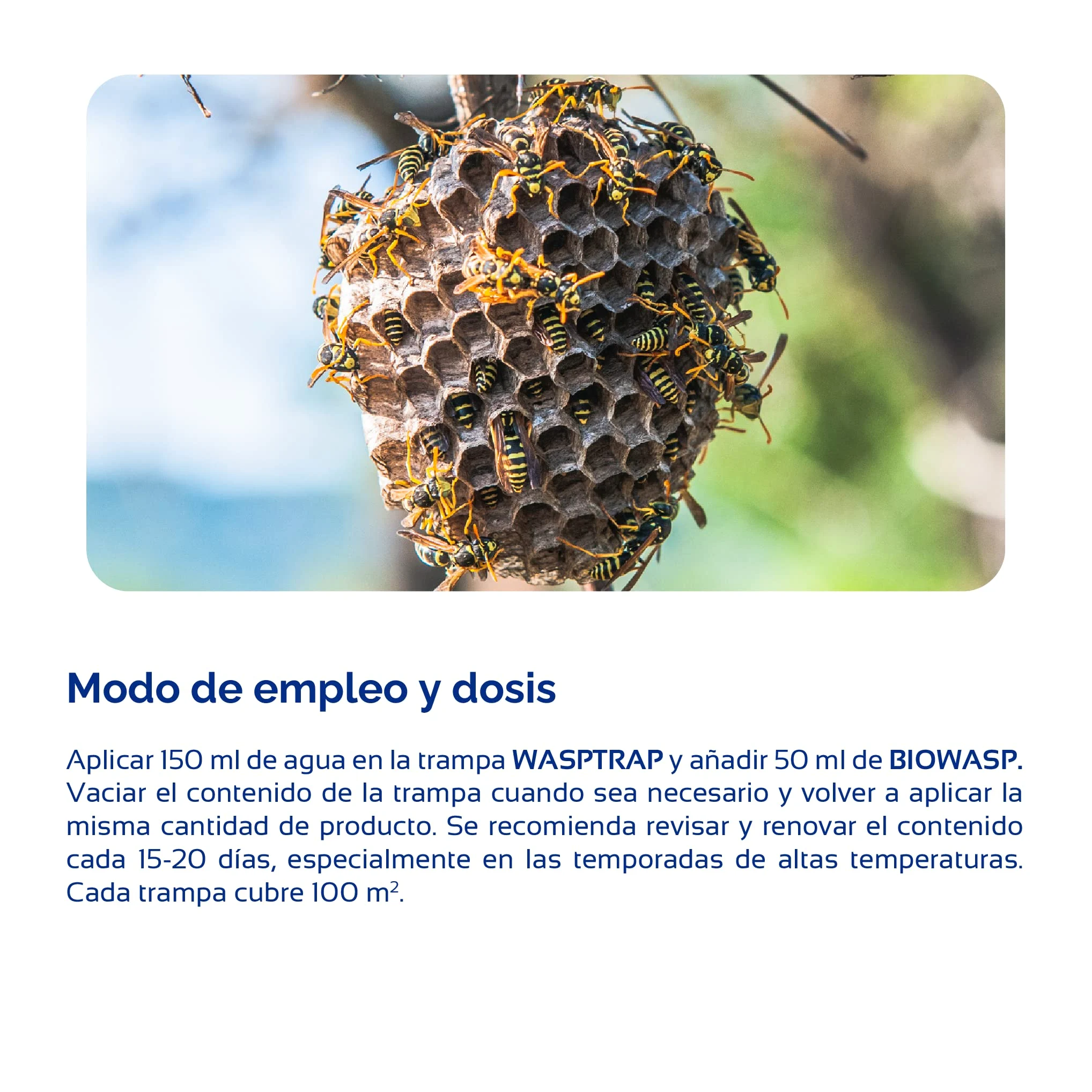 Bioplagen Wasptrap Trampa Avispas Biowasp Atrayente concentrado 500 ml
