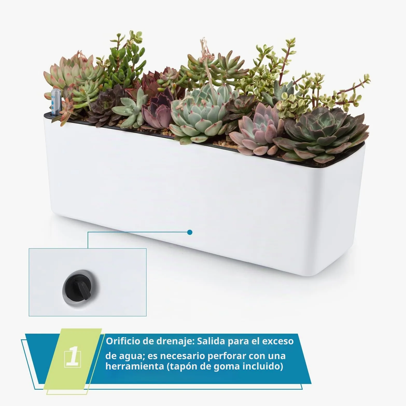 Skelang 2 Pcs Macetas de autorriego, Maceta Rectangular con indicador de Nivel de Agua, Jardinera para Plantas de Interior, suculentas, brotes, Pimienta