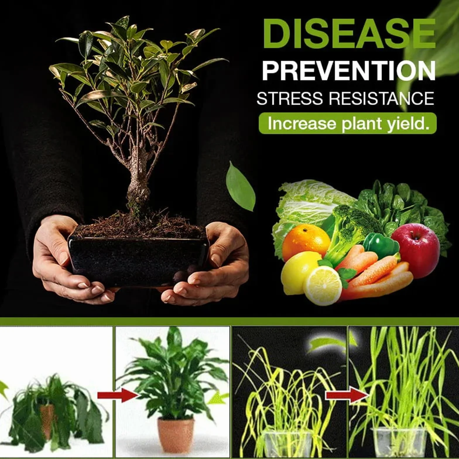 Abono Orgánico,Orgánica Del Suelo Activada,Activador De Suelo,Penetrante Del Suelo,Activador De Suelo Biológico Para Camas De Jardín Elevadas,Mezcla De Macetas,Césped Y Jardines