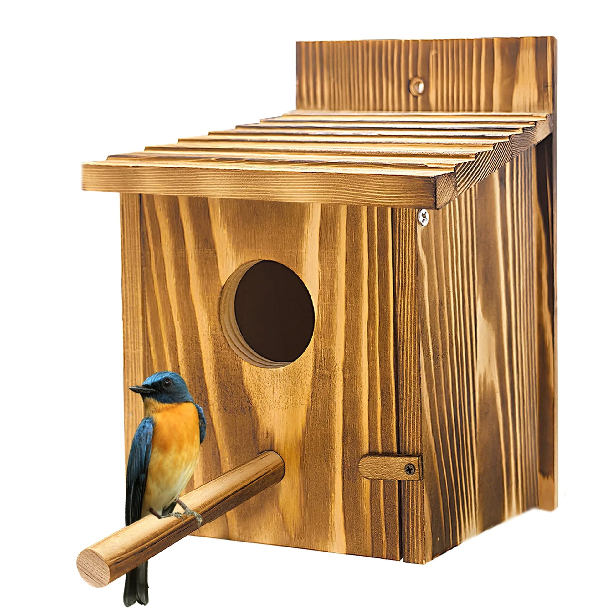 Casas de pájaros para exteriores, casa de pájaros de madera con percha desmontable, casas de pájaros azules de pinzón para colgar en el exterior para ver cabañas de campo