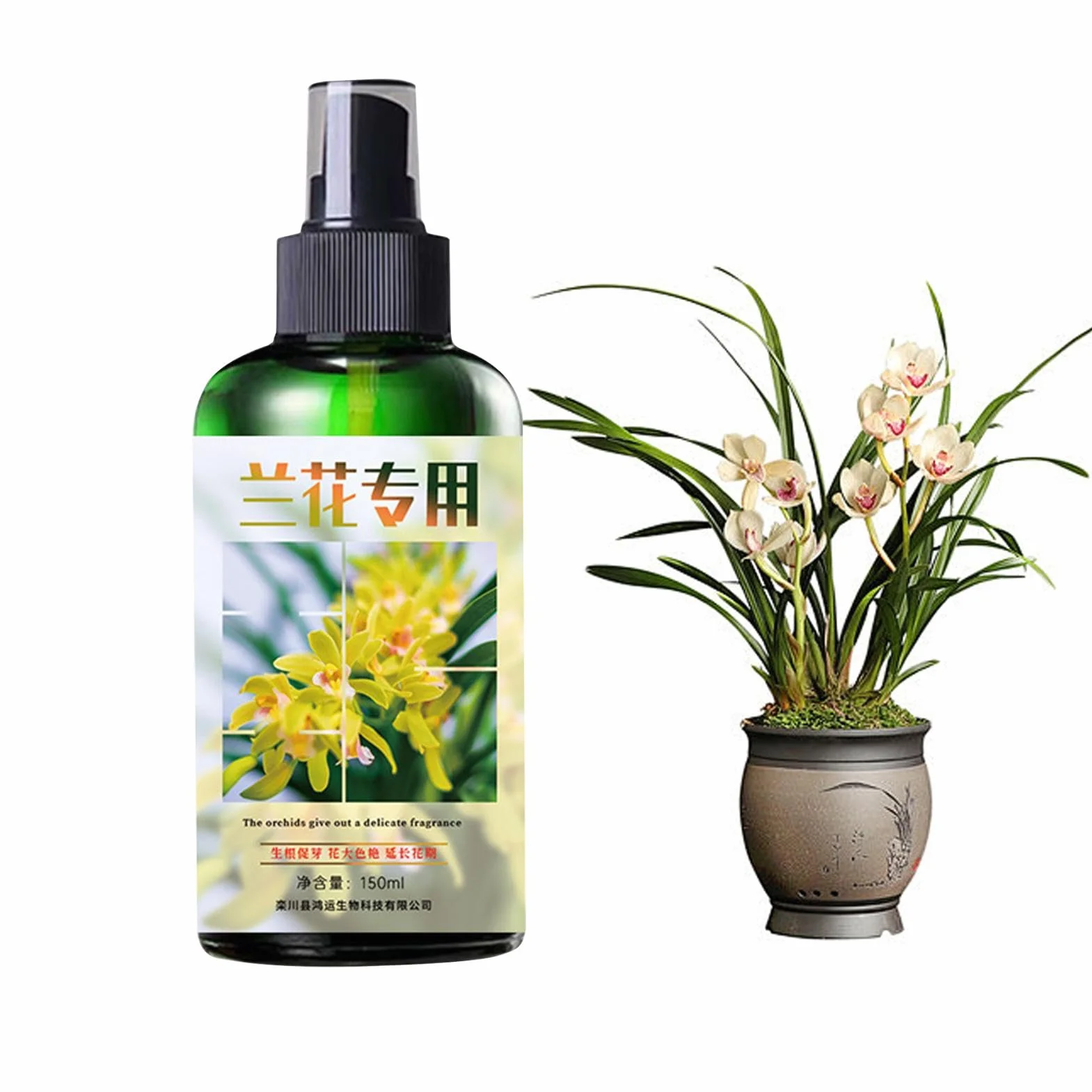Orquídea De Enjuague De Aerosol Líquido - Refuerzo De Floración, Fortalecedor De Plantas | Solución De Nutrientes De 150 Ml Para Orquídeas, Potenciador Del Crecimiento De La Raíz, Cuidado De La Planta