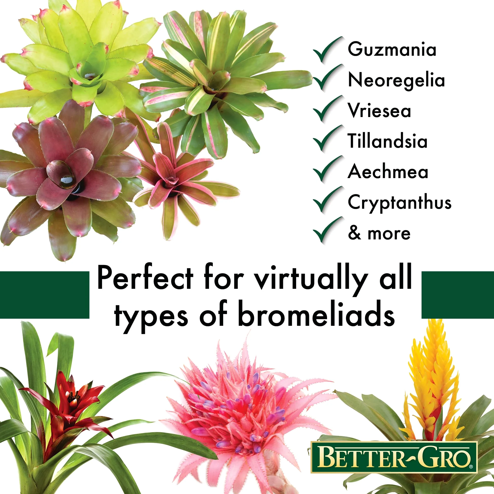 Better-Gro Mezcla de bromelia de 8 Cuartos de galón
