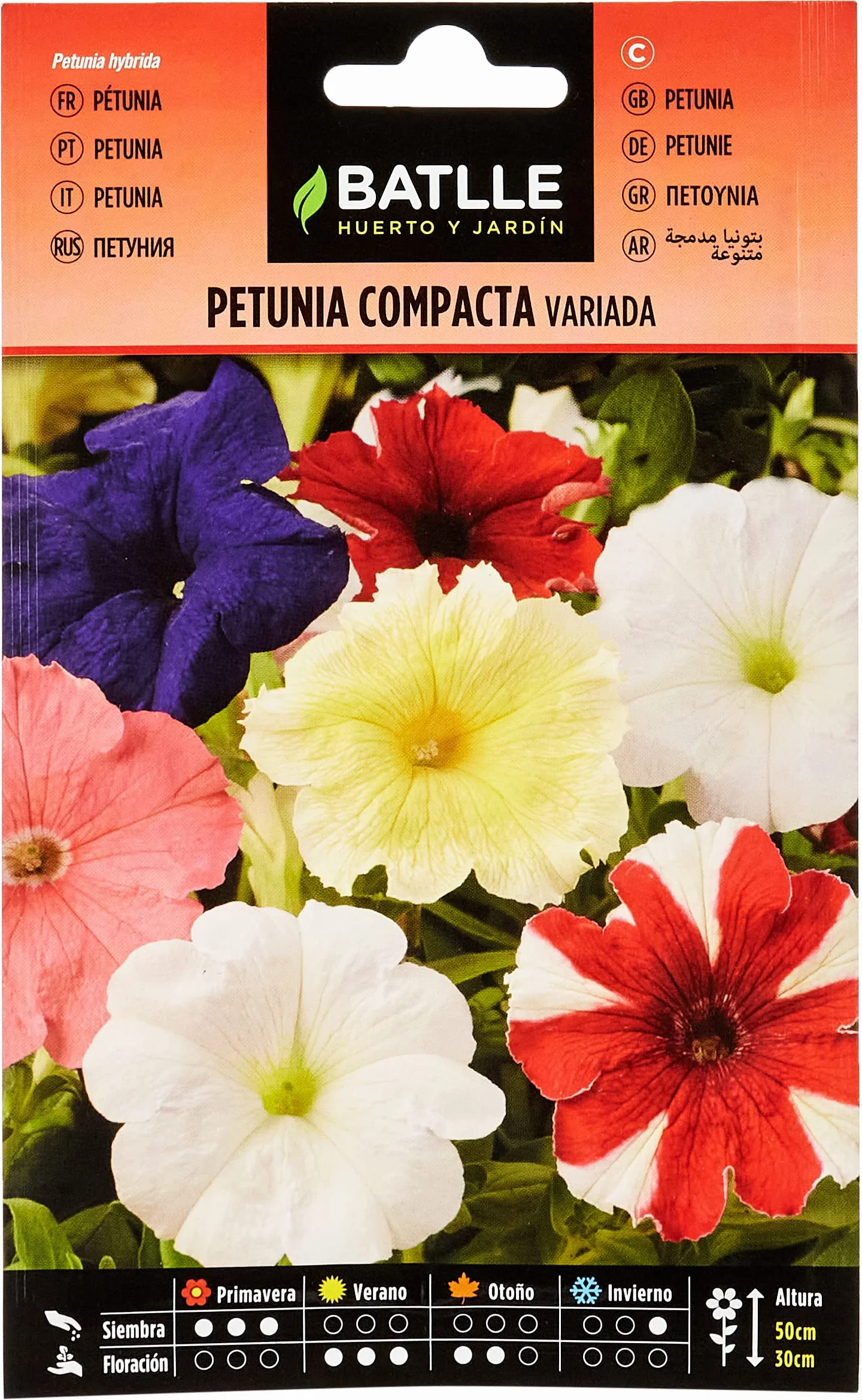 Semillas Batlle - Petunia Compacta VARIADA, Multicolor