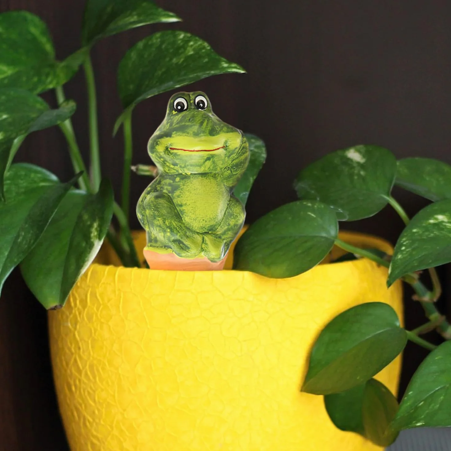 COM-FOUR® 3x Riego automático para plantas - Dispensador de agua para plantas - Conos de arcilla para regar flores (03 piezas - ranas)