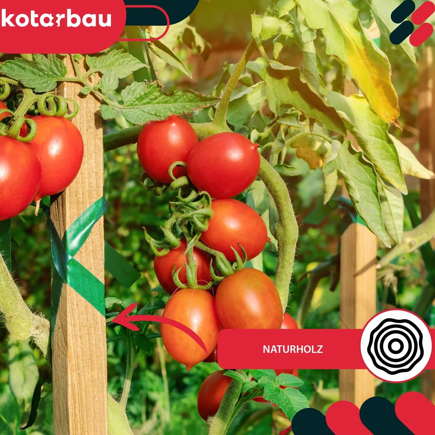 KOTARBAU® 10 Unidades Tutores para Plantas - Palos de Madera - 40 cm - Madera de Haya - Natural - Postes para Vallas - Estacas para Jardín - Tutor Plantas - Estacas para Huerto