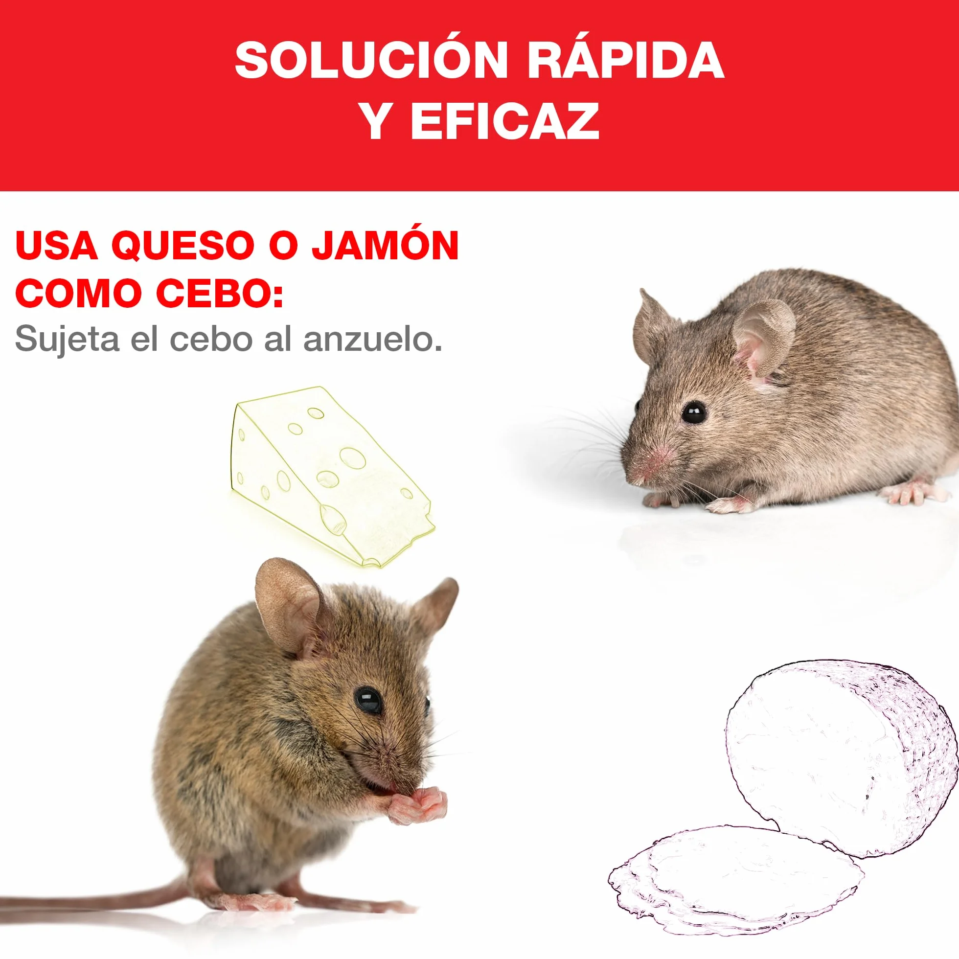 SWISSINNO Jaula para Ratones, Construida en madera y metal, Atrapar + soltar, Diseño seguro, Uso interior y exterior, Segura para niños y mascotas, Fabricado en Europa, 1x Trampa