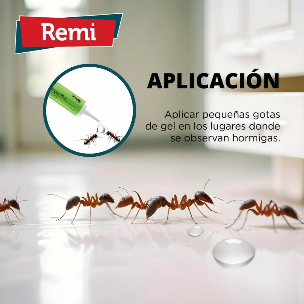 Remi Hogar Gel Hormigas Plus | Gel Insecticida Antihormigas en Jeringa | Cebo Insecticida Listo para Usar | Elimina Hormigas y el Hormiguero | Uso Interior | Alta Eficacia | Uso Doméstico