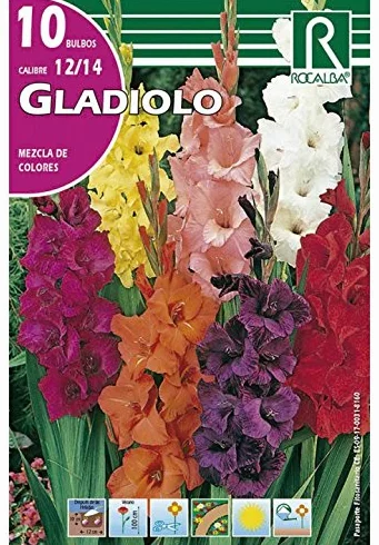 BULBO GLADIOLO MEZCLA COLORES - 10 UD.…