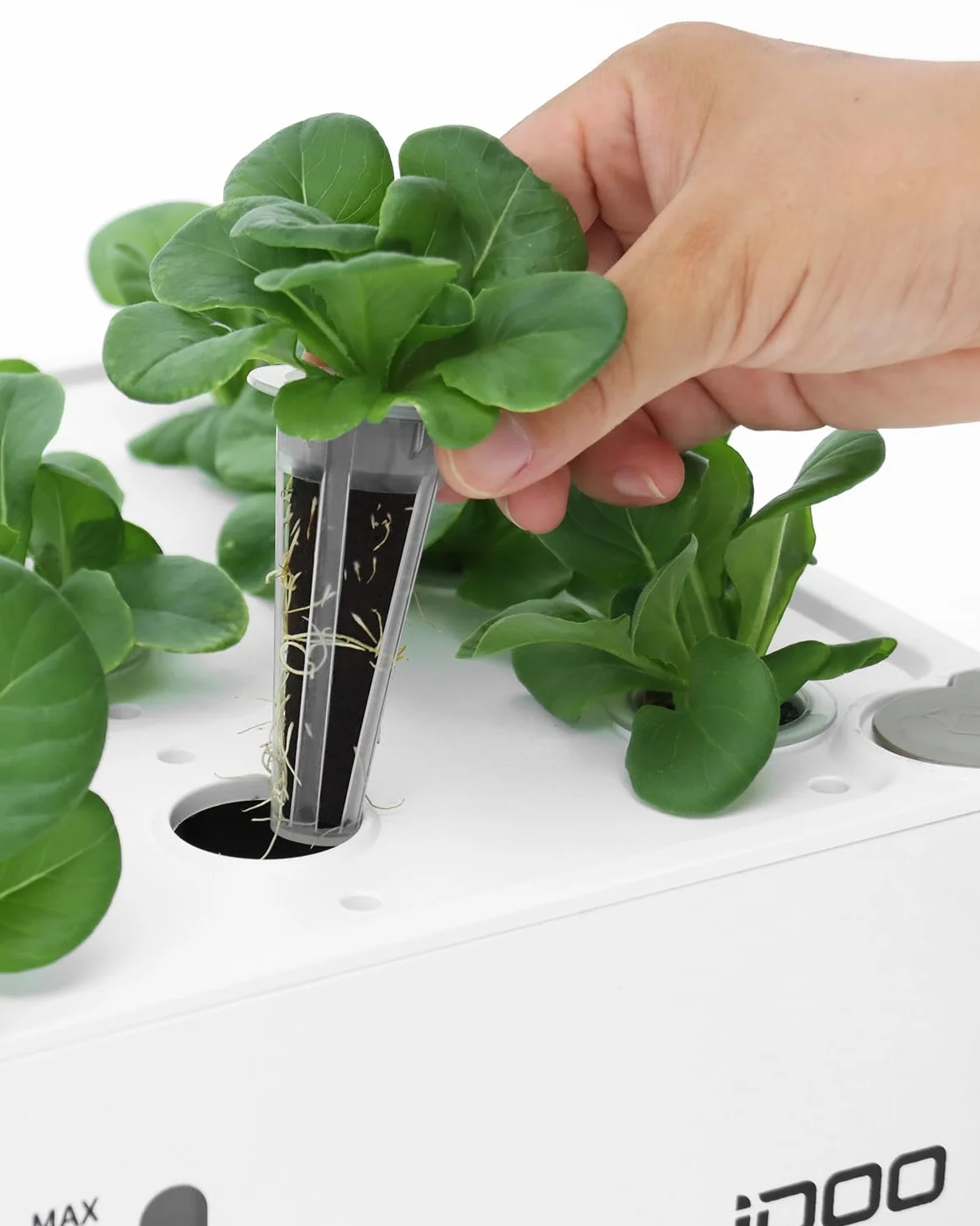 iDOO Accesorios de Hidroponia Kit Completo, Hidroponia, 12 Esponjas de Crecimiento, Kit de 12 Cestas, 12 Tarjetas de Etiqueta, 12 Cúpulas y Nutrientes Sólidos A&B para Sistema de Cultivo Hidroponico